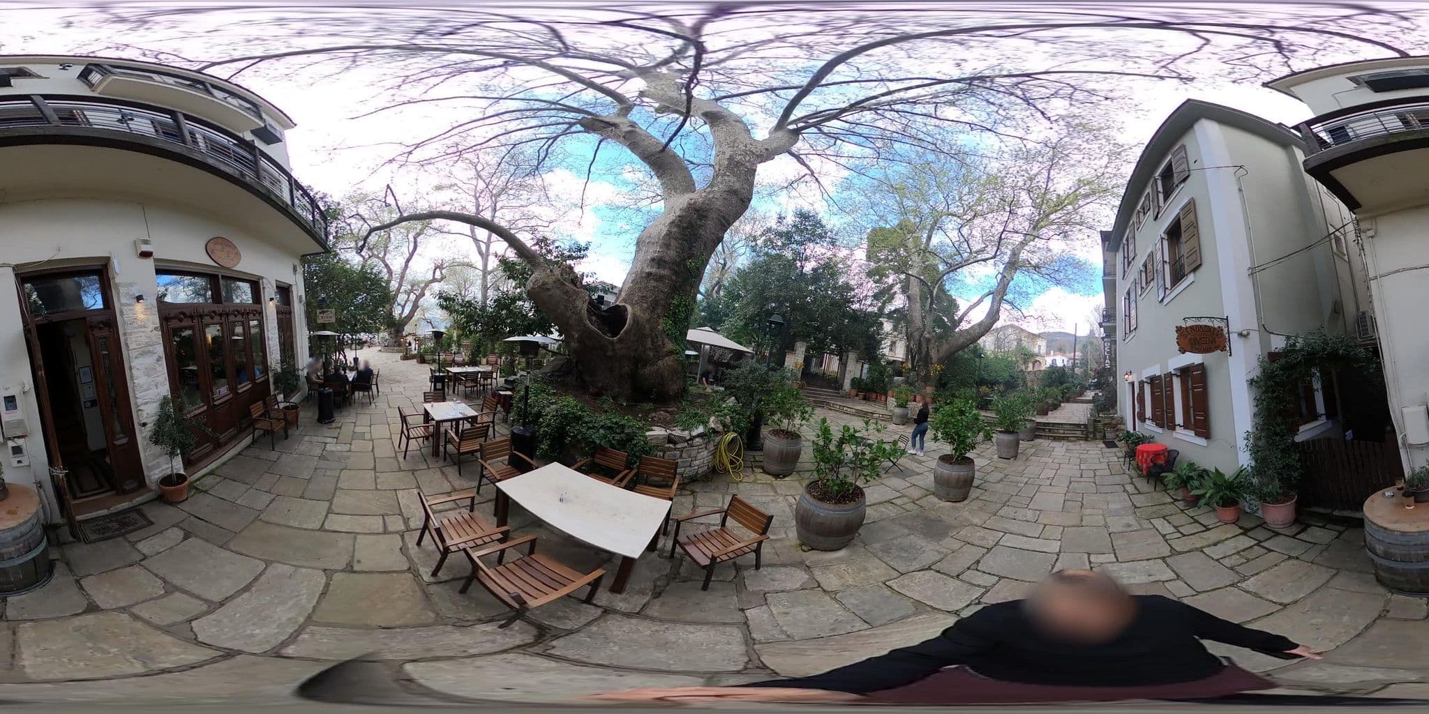 Street view near Pelias, Portariá — © RoikosSA (CC BY-SA · Mapillary)