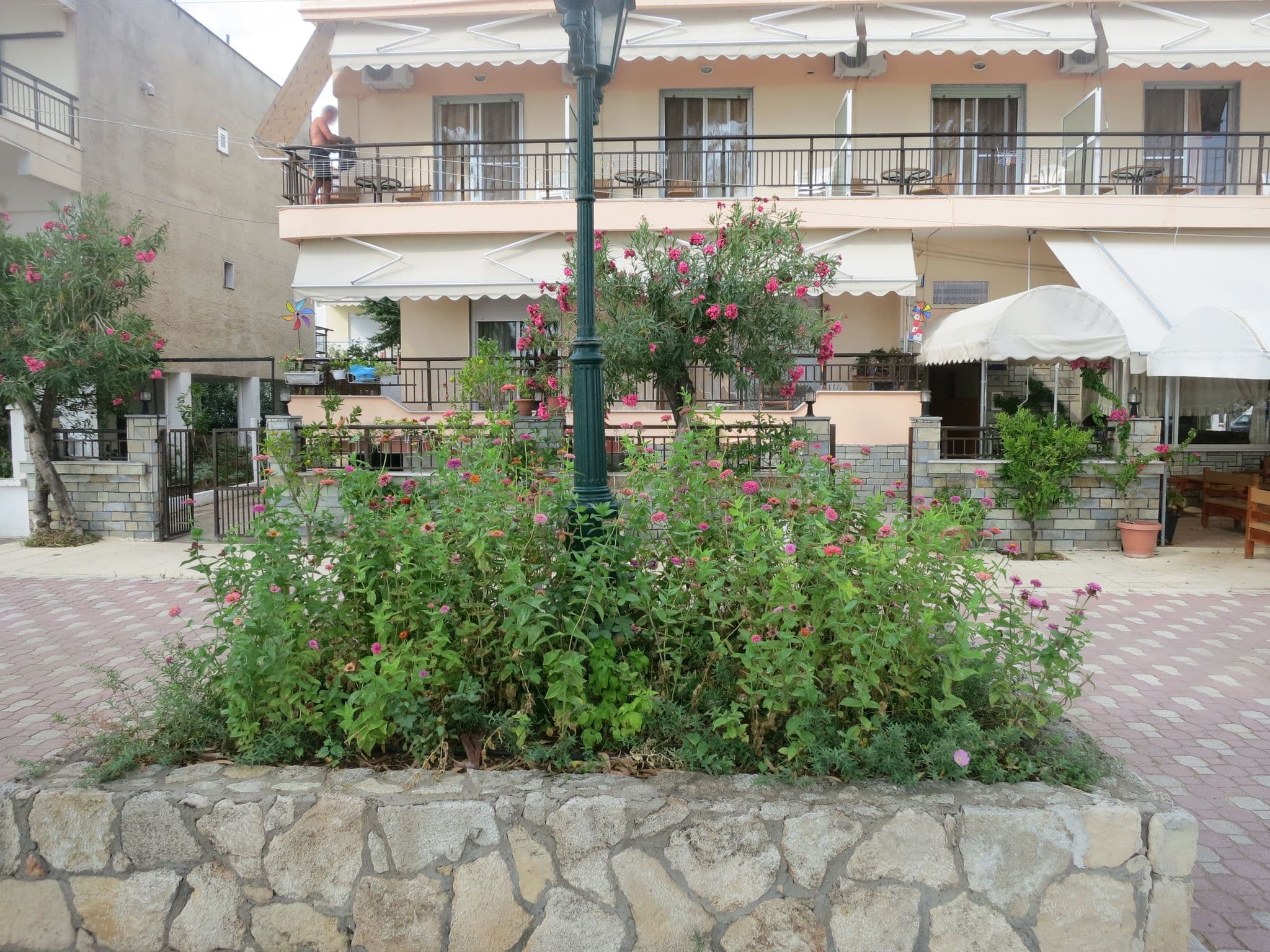 Street view near Faros, Néa Flogitá — © zverik (CC BY-SA · Mapillary)