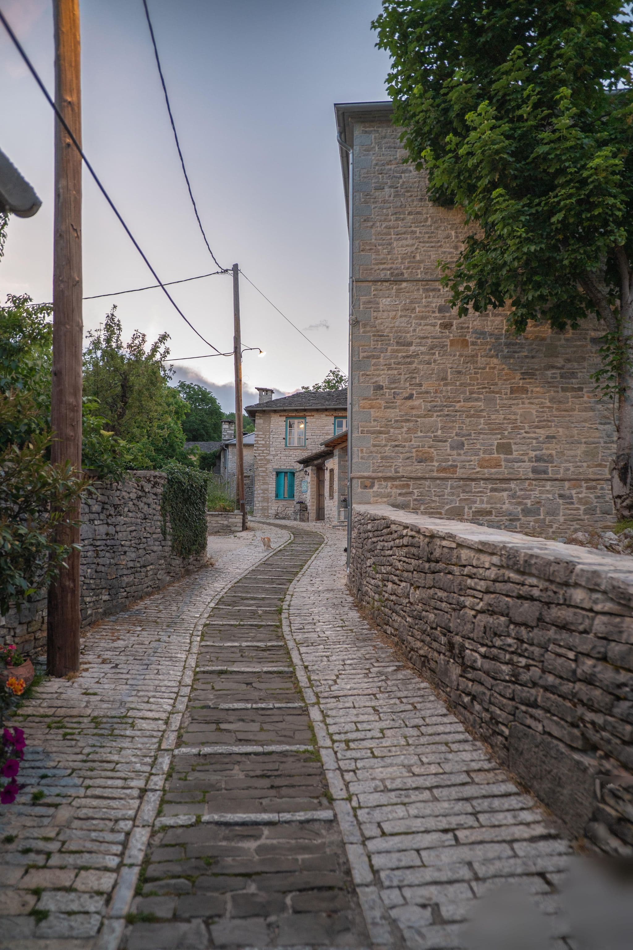 Street view near Vikos, Zagorochória — © algirdasc (CC BY-SA · Mapillary)
