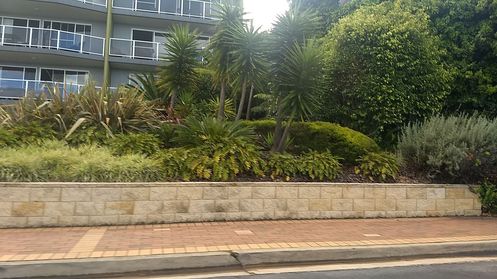 Street view near Albacore Apartments, Merimbula — © jakecopp (CC BY-SA · Mapillary)