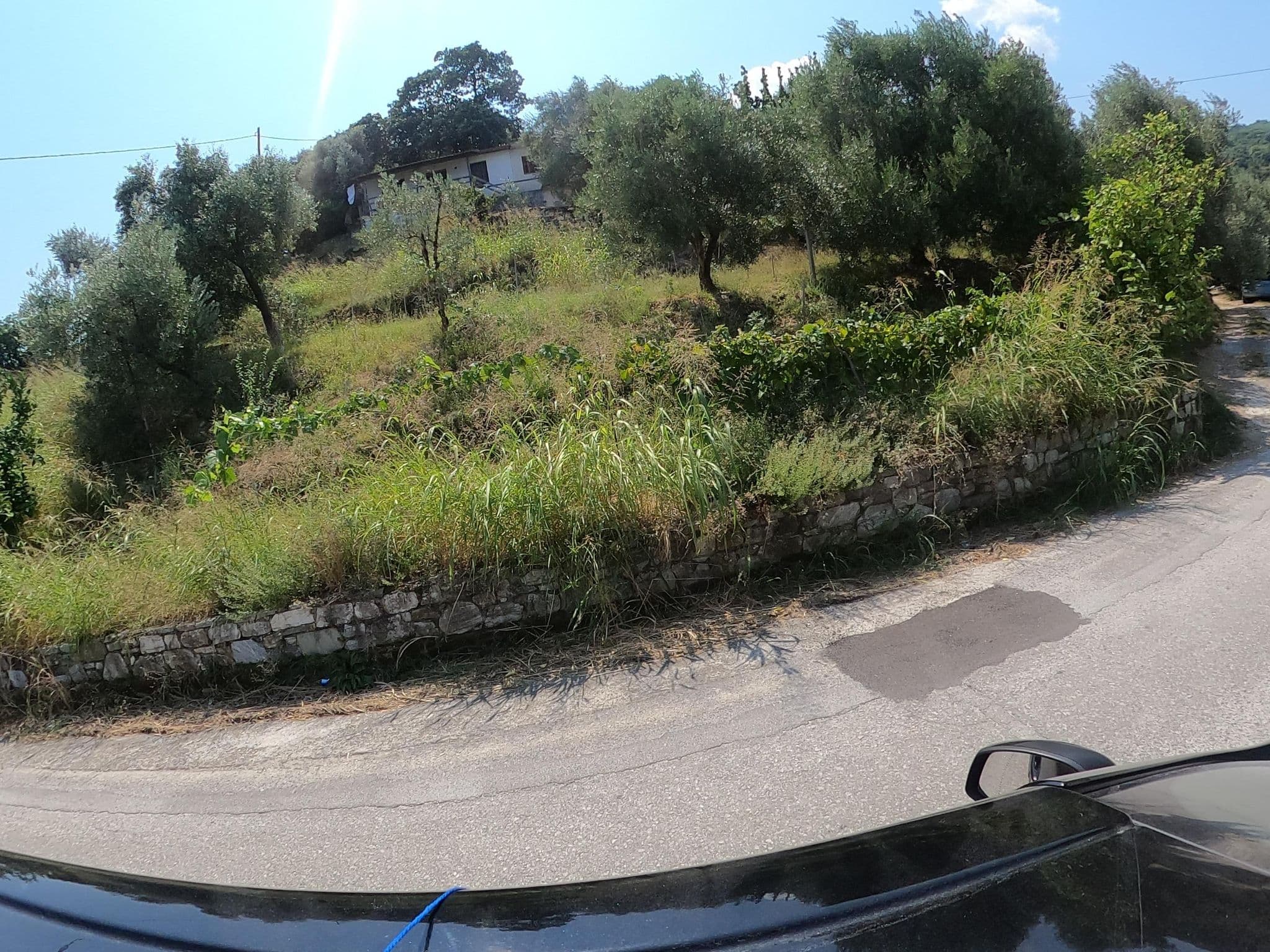 Street view near Isabel Artemis, Zagorá — © geraki (CC BY-SA · Mapillary)