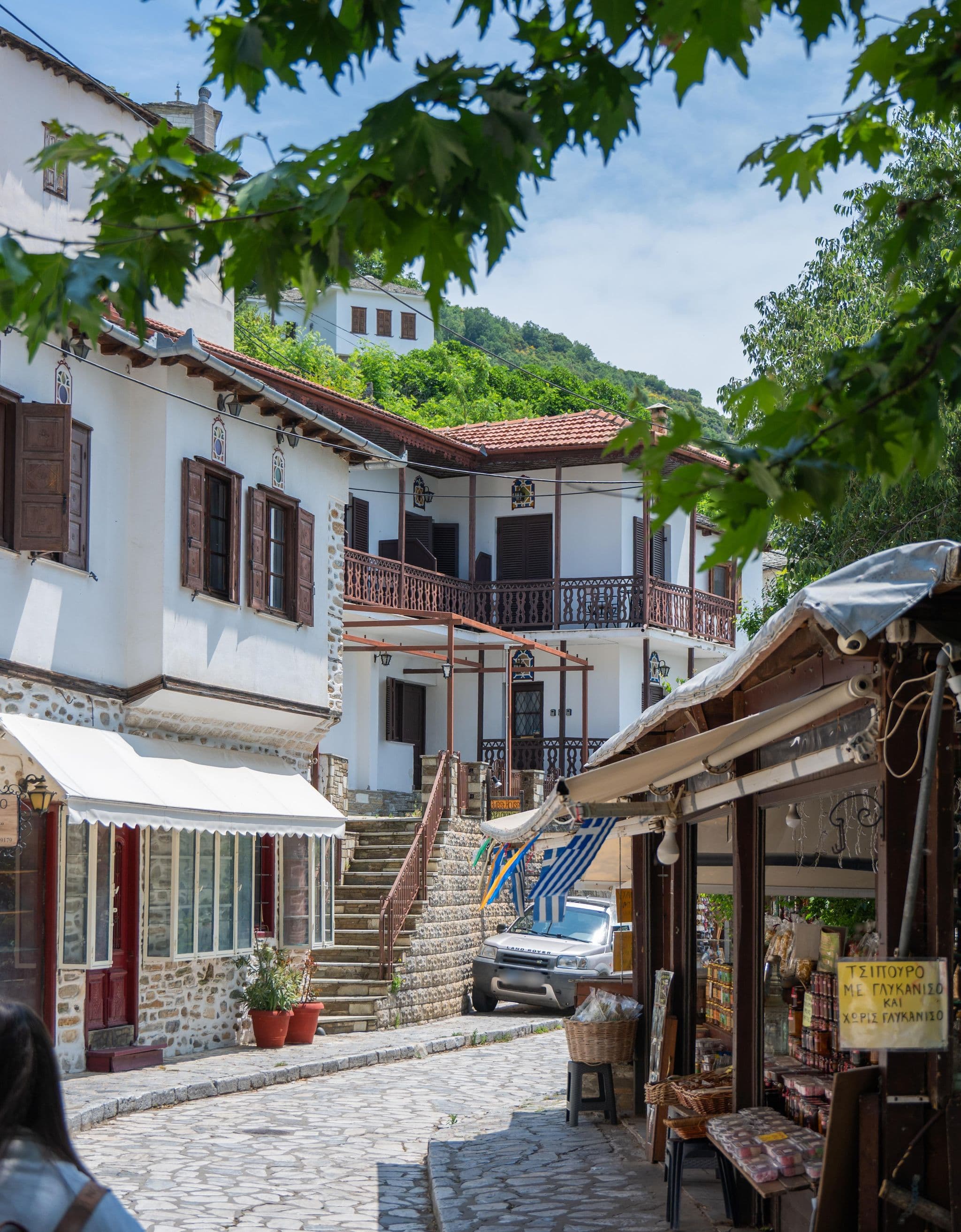 Street view near Philos, Portariá — © algirdasc (CC BY-SA · Mapillary)