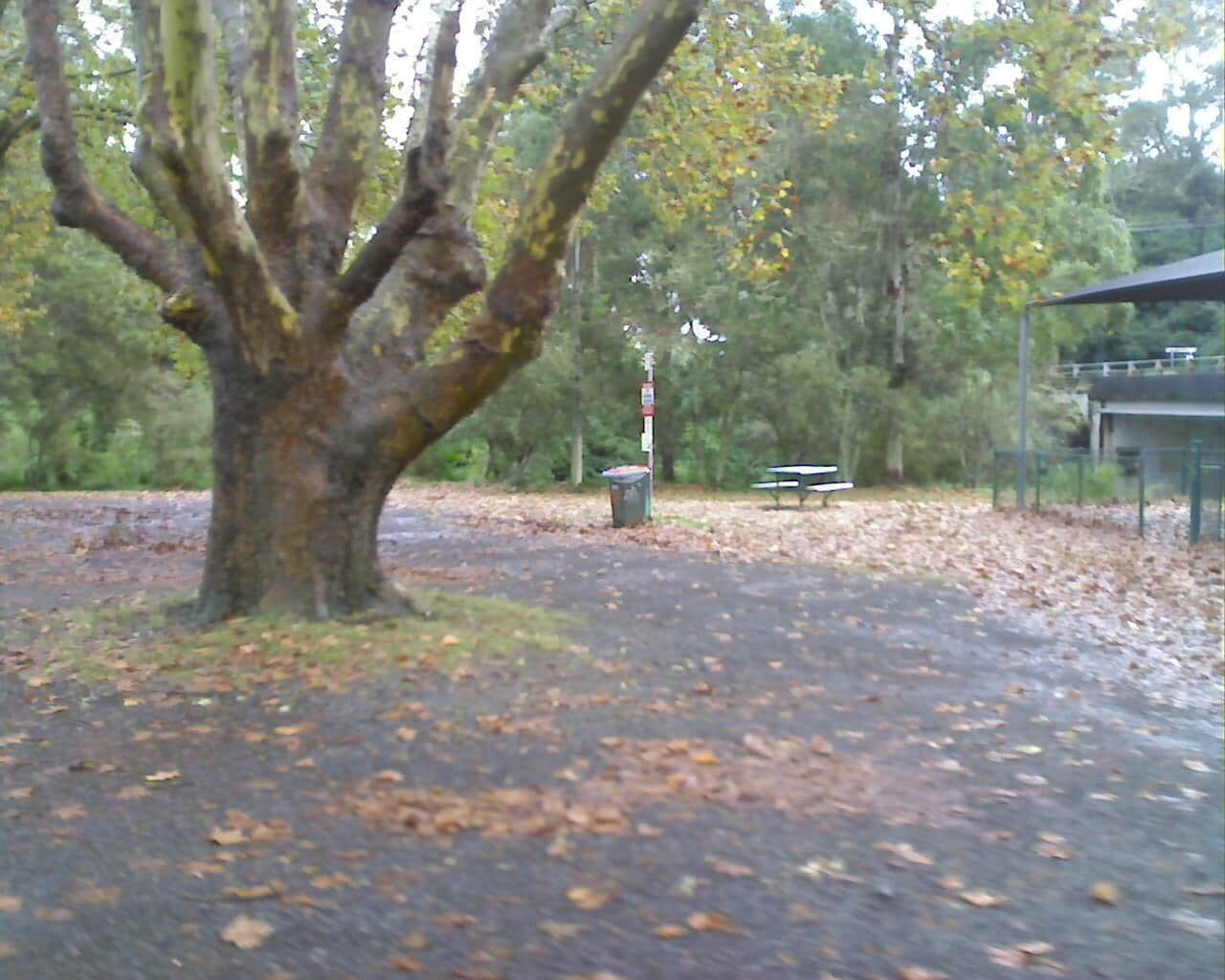 Street view near Dorrigo Rest Area, Dorrigo — © bob3bob3 (CC BY-SA · Mapillary)