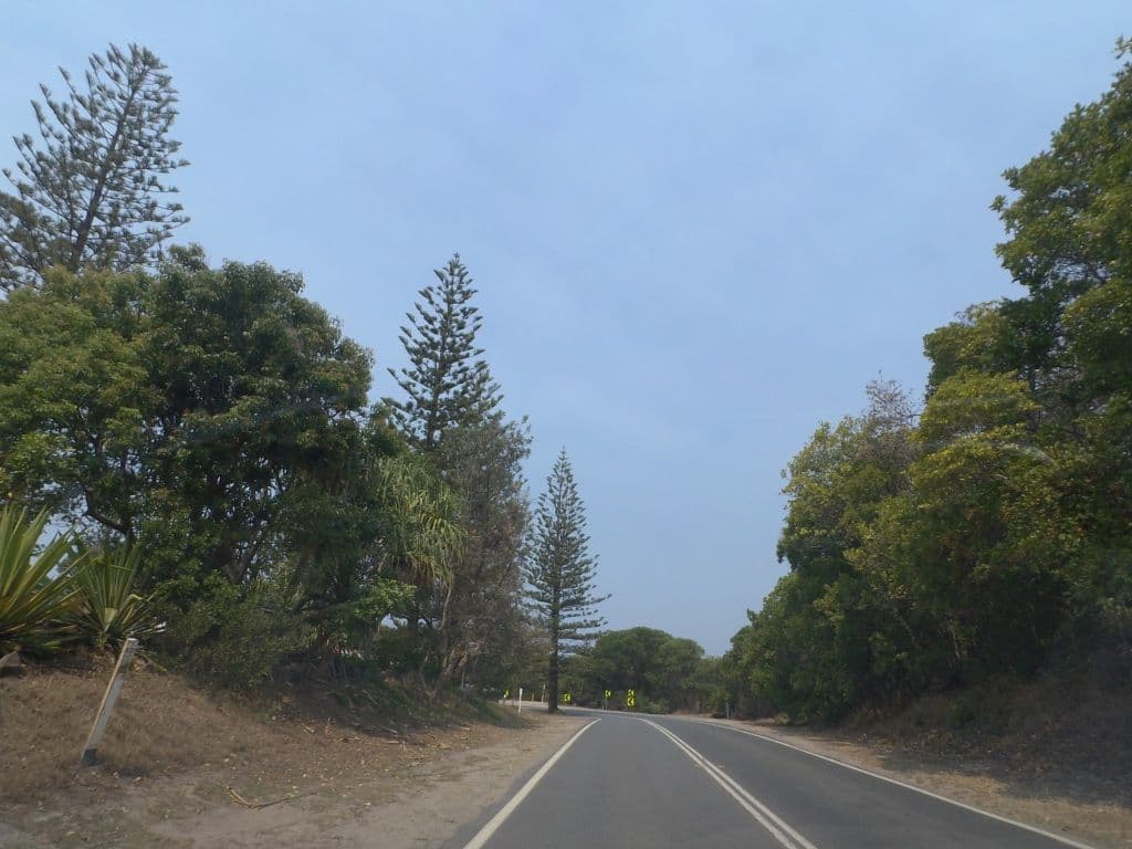 Street view near Wooyung Beach Holiday Park, Ocean Shores — © mander (CC BY-SA · Mapillary)