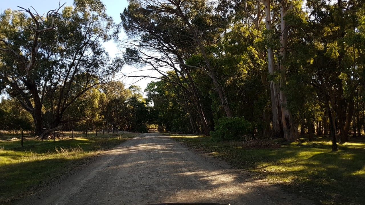Street view near start of forest walk, Jamestown — © didz (CC BY-SA · Mapillary)