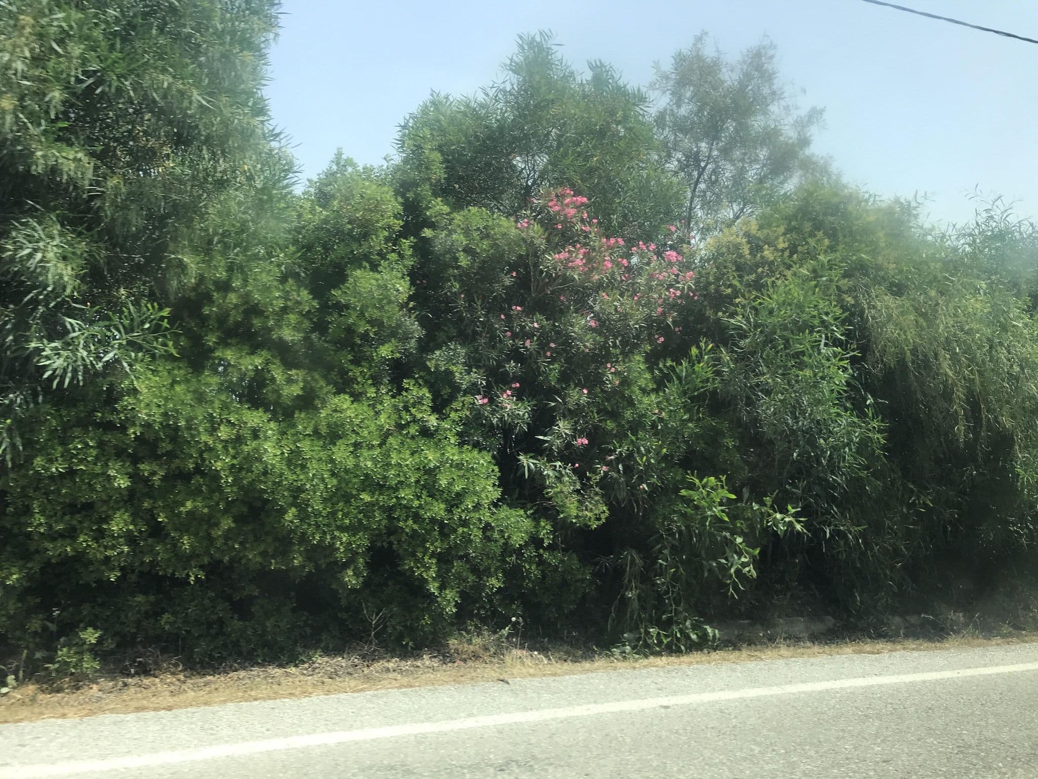 Street view near Aris, Pefkochóri — © miguel_andrade (CC BY-SA · Mapillary)
