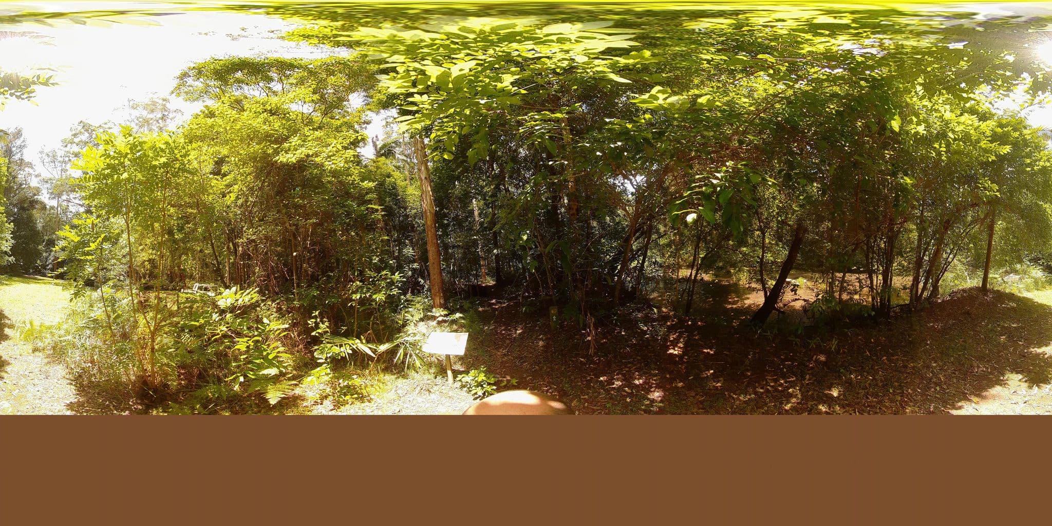 Street view near Iron Pot Creek Campground, Figtree — © Platypus1 (CC BY-SA · Mapillary)