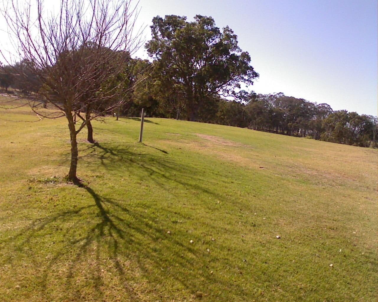 Street view near Aloomba Lavender, Stanthorpe — © bob3bob3 (CC BY-SA · Mapillary)