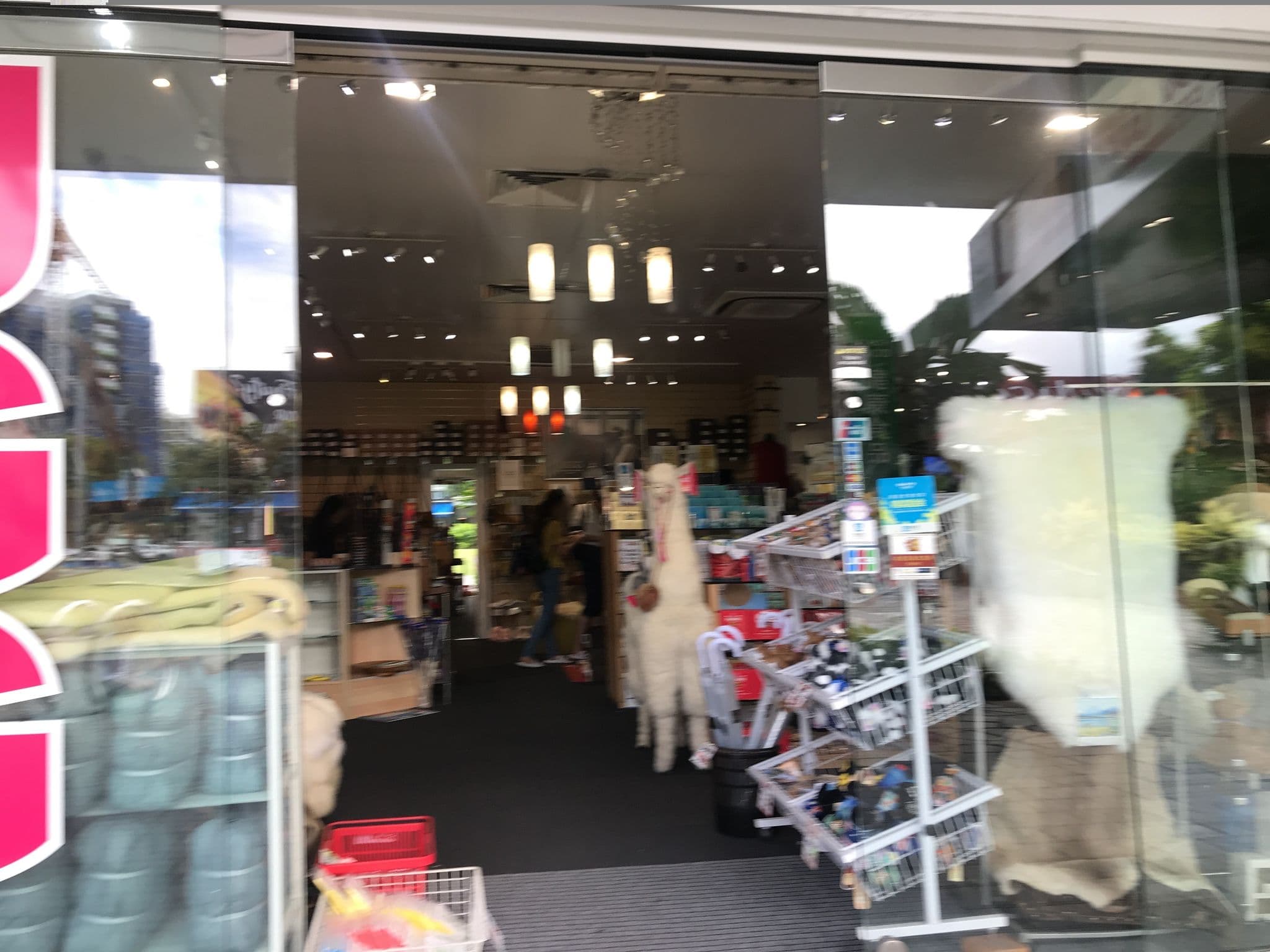Street view near Little Drifter Cairns, Cairns City — © shikayose (CC BY-SA · Mapillary)
