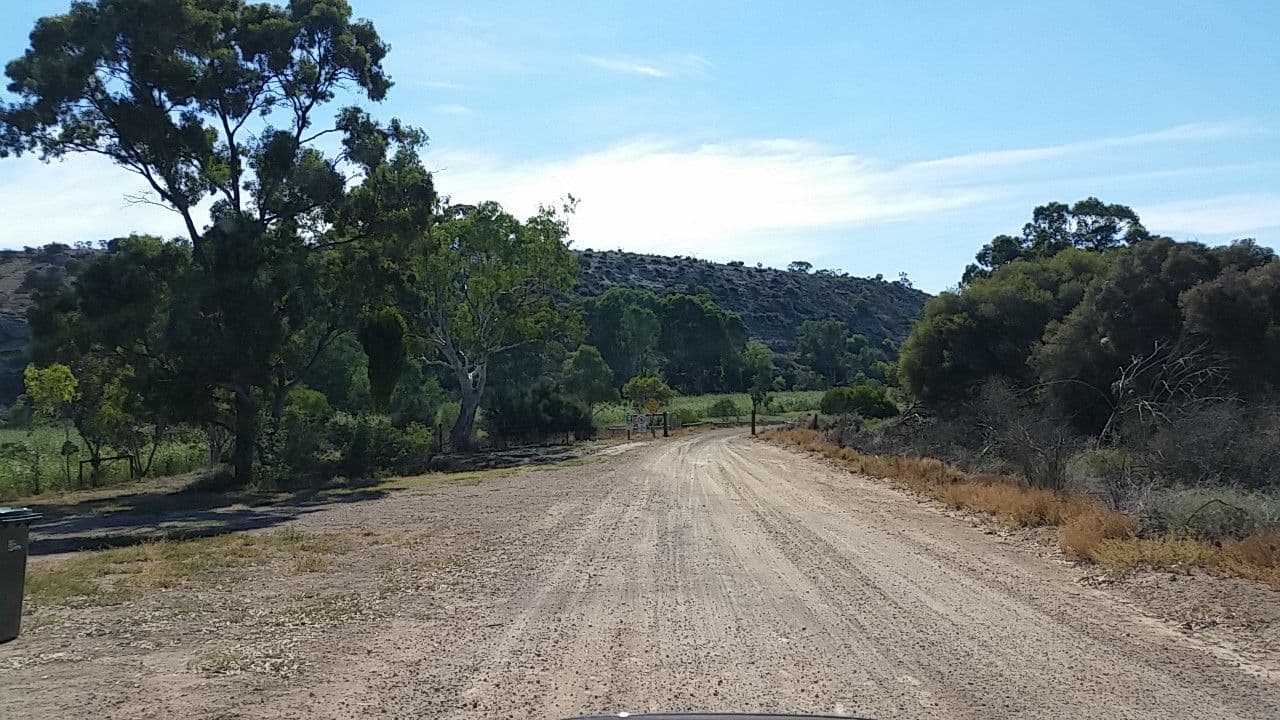 Street view near Wongulla Campground, Mannum — © didz (CC BY-SA · Mapillary)