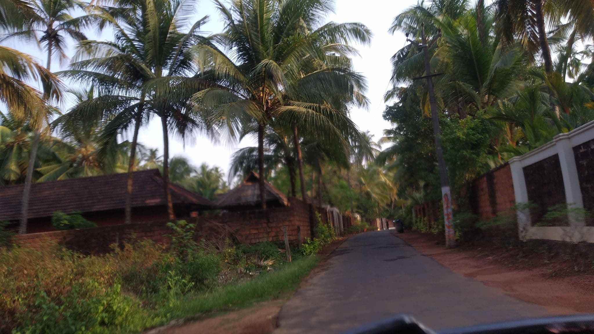 Street view near Nattika Beach Resort, Talikkulam — © jothishbabu (CC BY-SA · Mapillary)