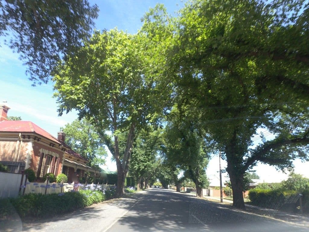 Street view near Bacchus Marsh Avenue Motel, Bacchus Marsh — © mander (CC BY-SA · Mapillary)