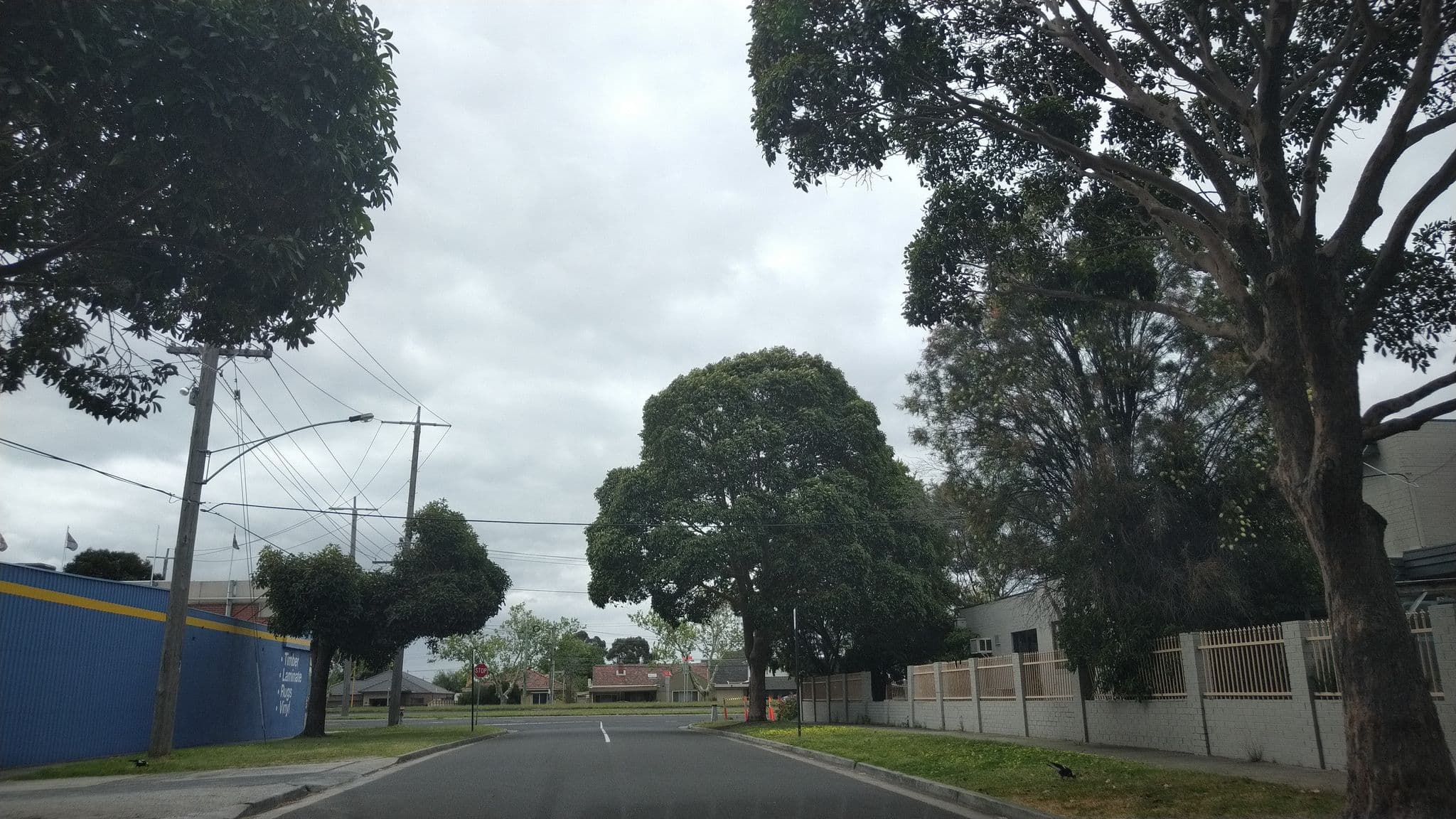 Street view near Chadstone Executive Motel, Oakleigh — © jovotrisic1960 (CC BY-SA · Mapillary)