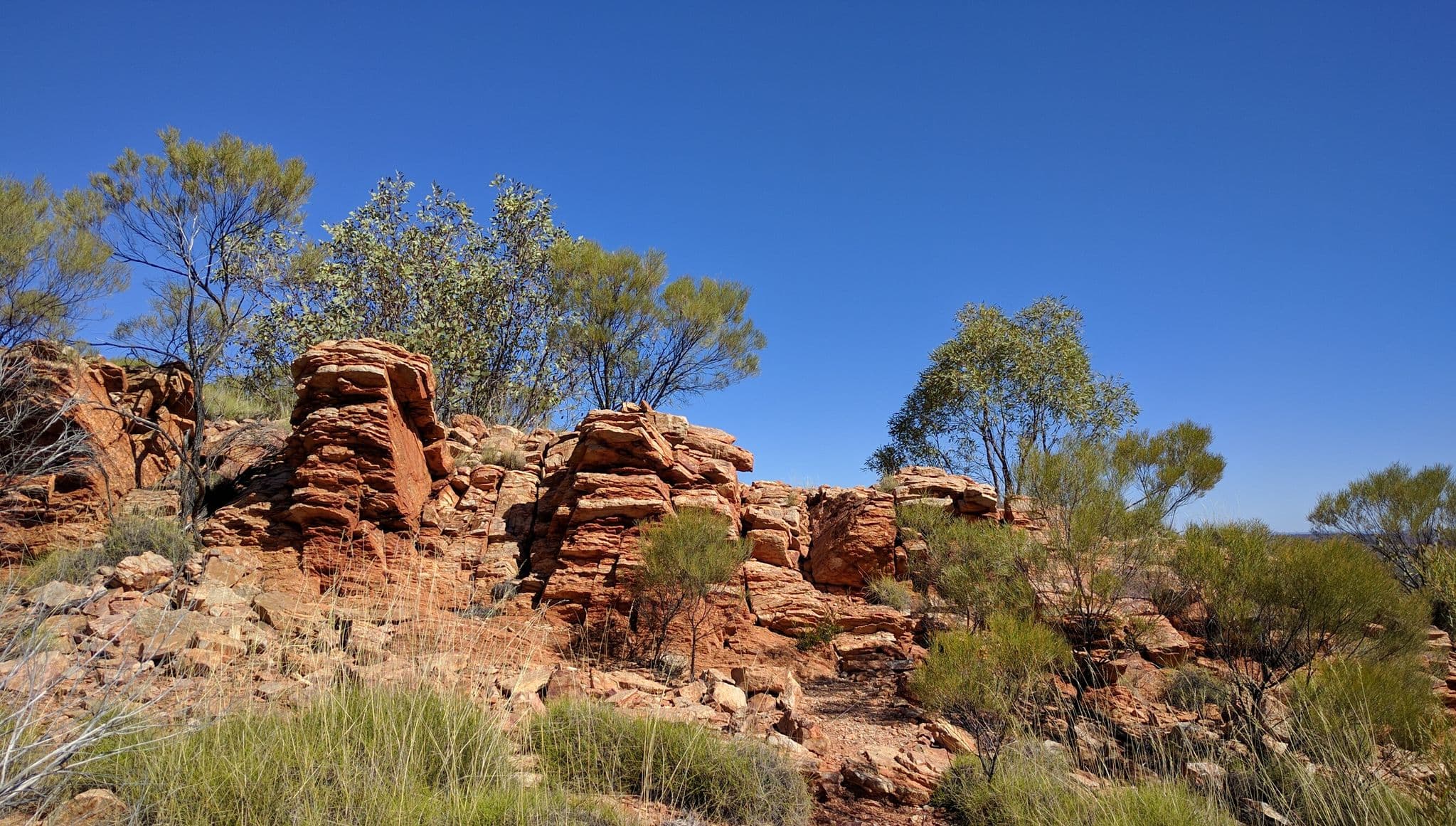 Street view near Hermits Hideaway, Larapinta — © quitetall (CC BY-SA · Mapillary)