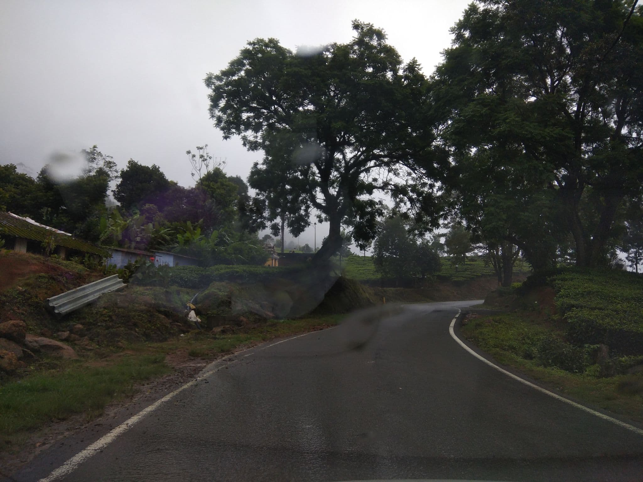 Street view near Blackberry Hills, Munnar