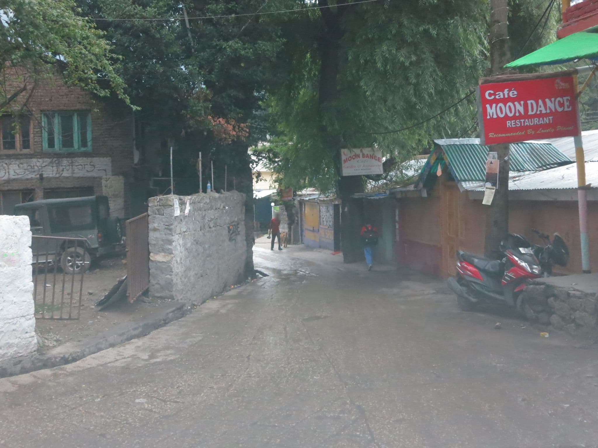 Street view near The mad king, Kulu