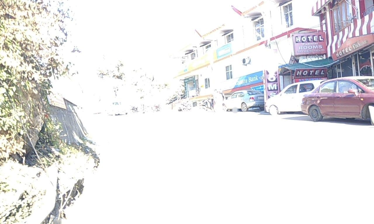Street view near Padmini, Dharamsala