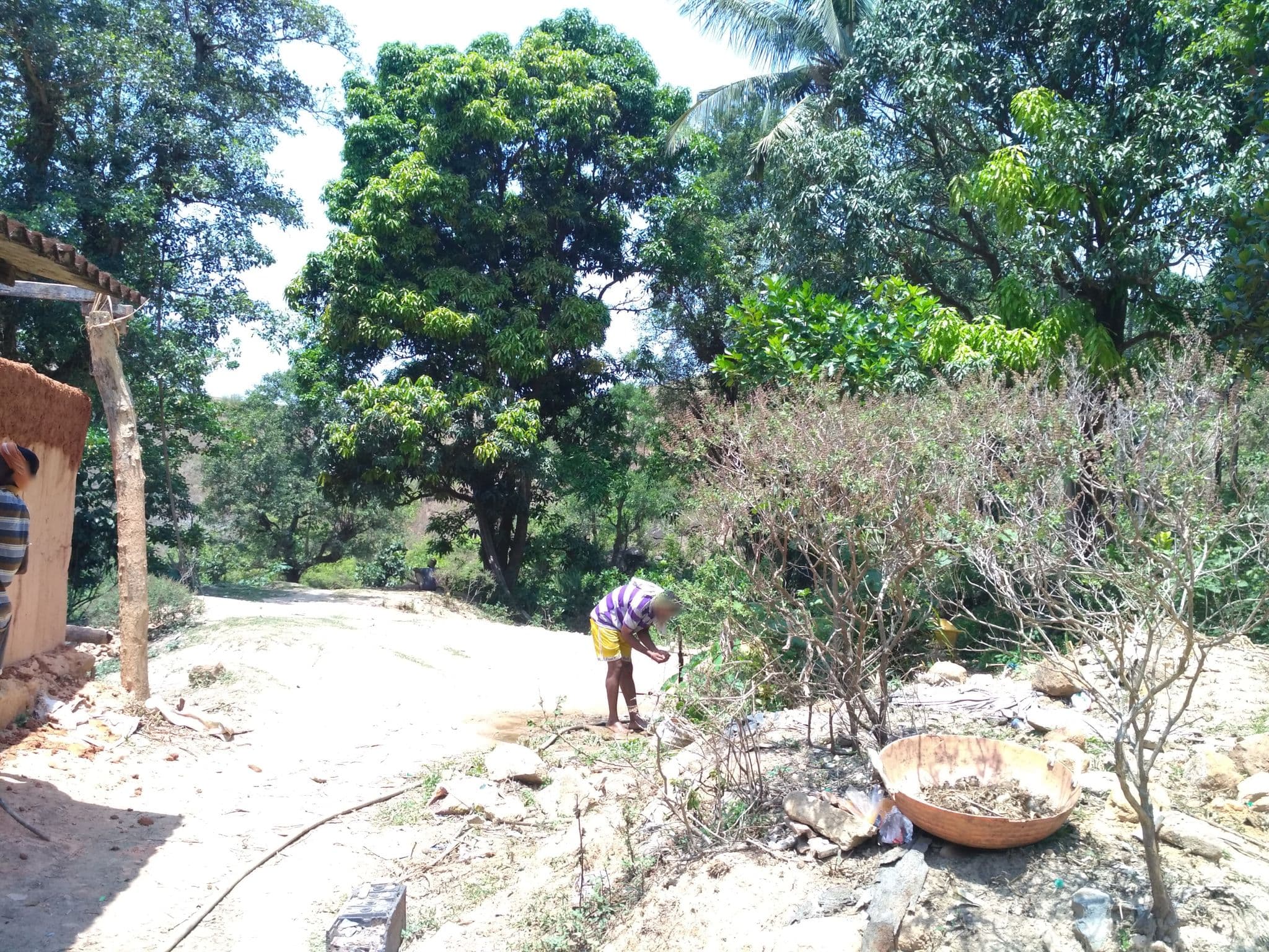 Street view near Battara Mane, Konaje — © chethan (CC BY-SA · Mapillary)