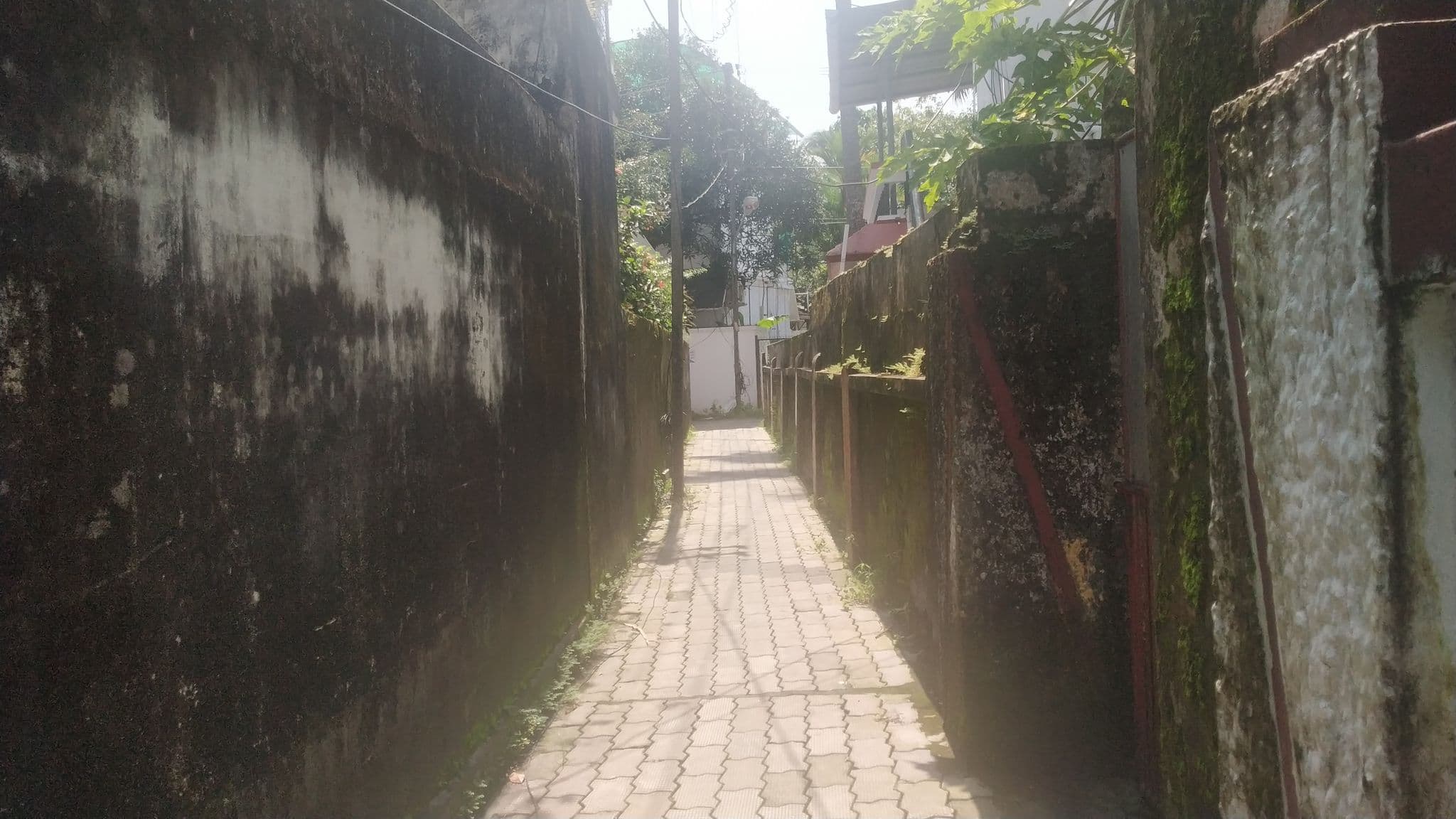 Street view near Grace Home Stay, Vypīn