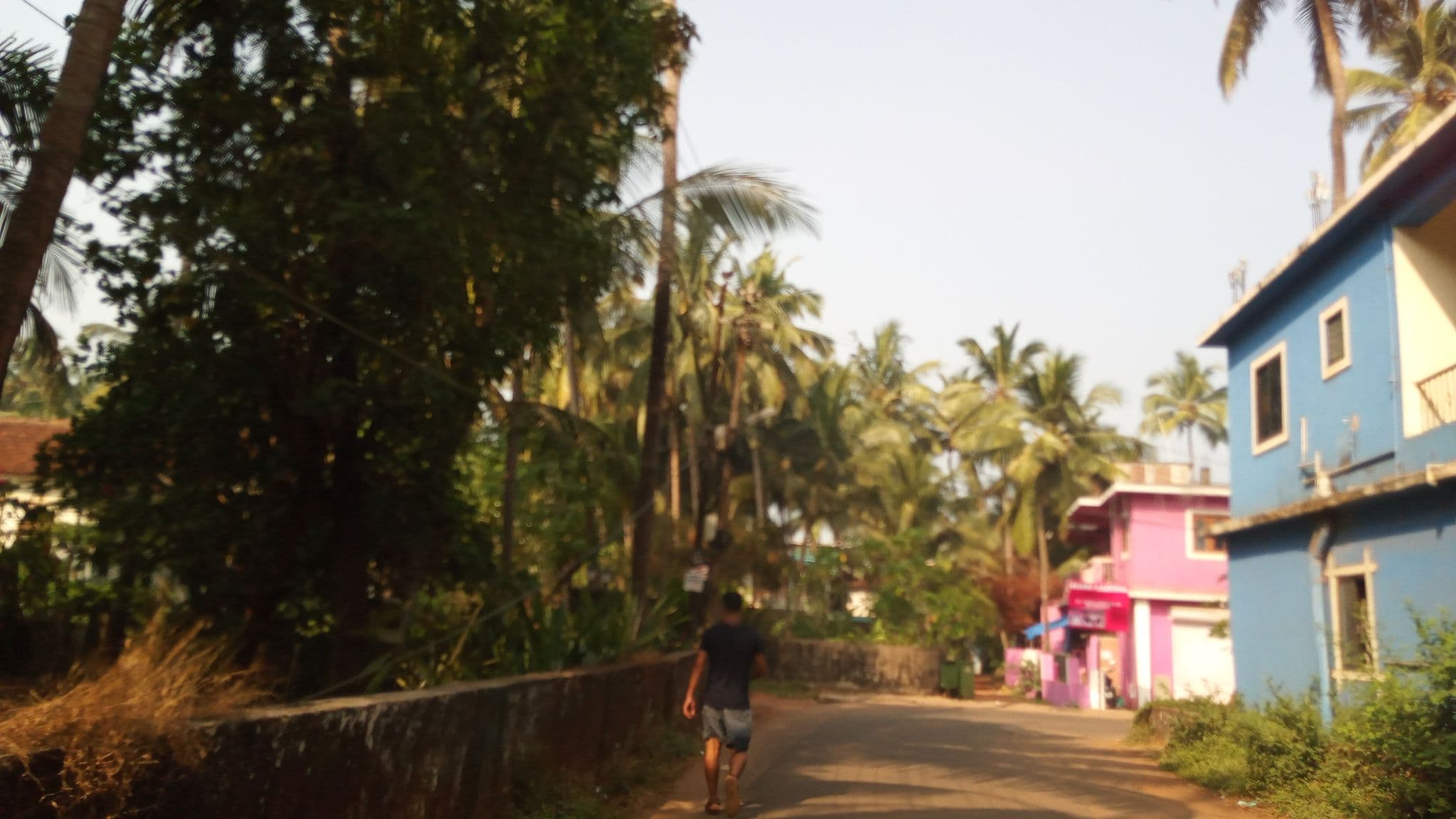 Street view near Vitusia Guest House, Calangute — © pradeepbv (CC BY-SA · Mapillary)