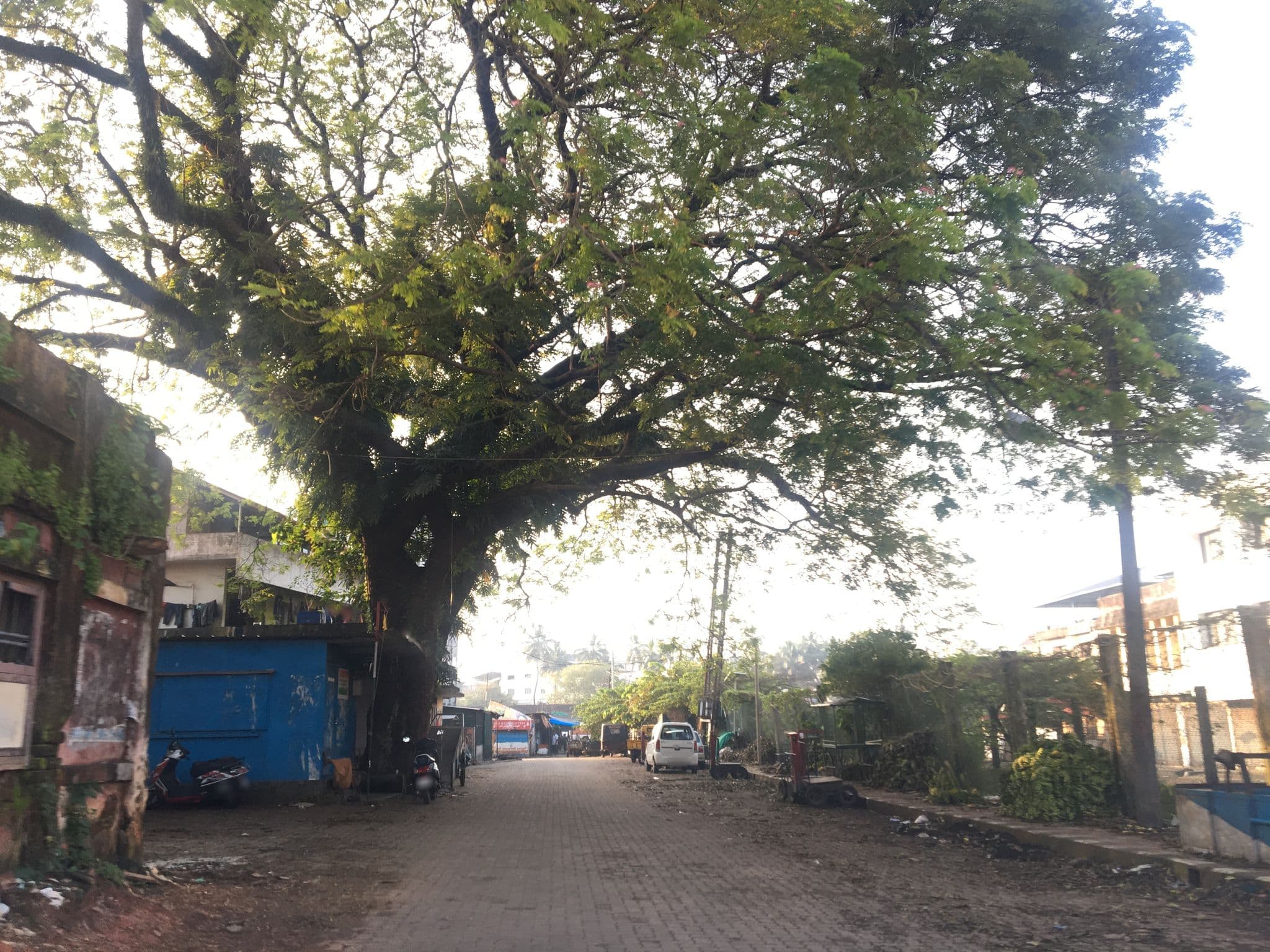 Street view near St. Antony's Lodge, Kanayannur — © livableurbanism (CC BY-SA · Mapillary)