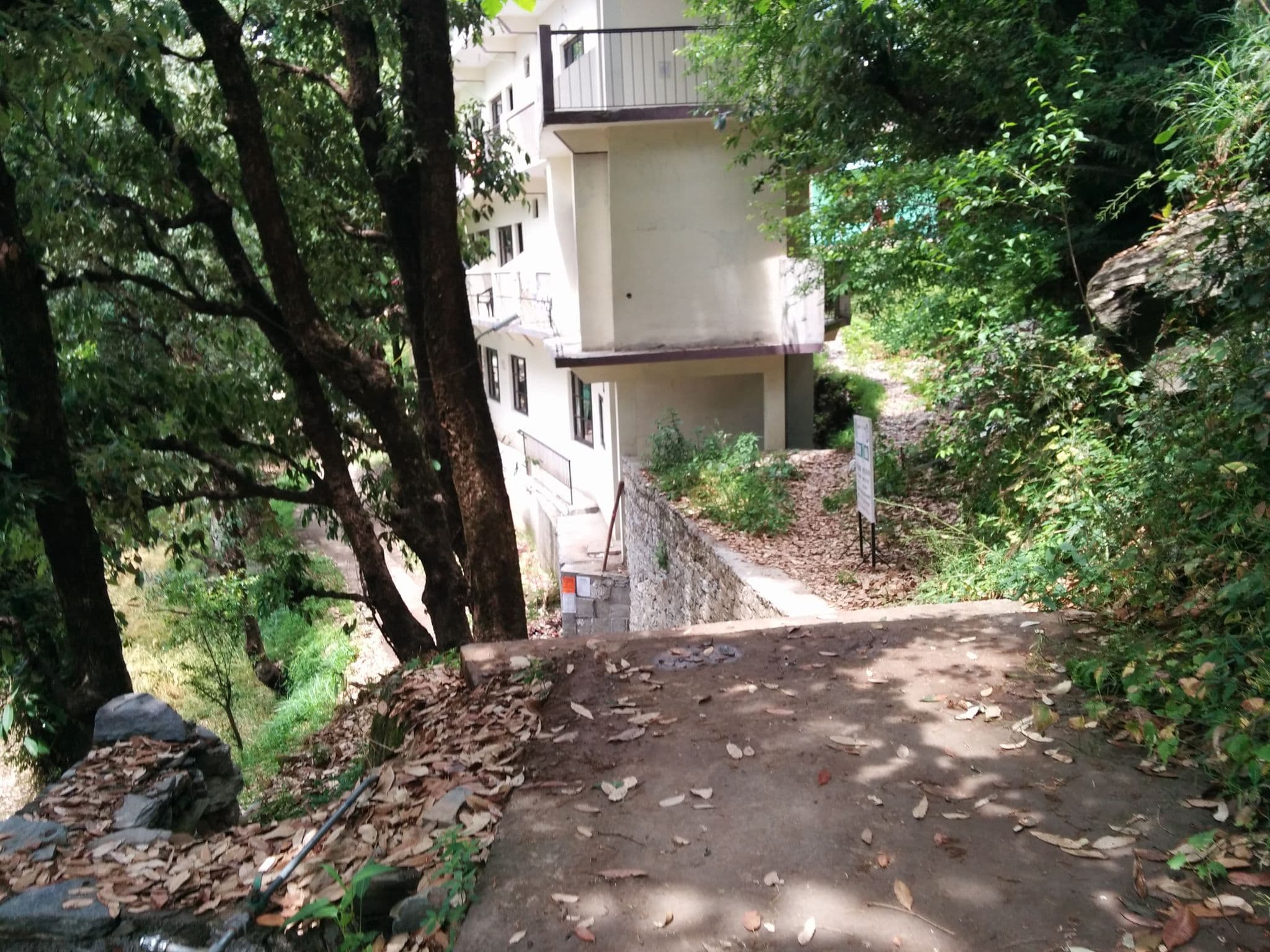 Street view near Tree House, Dharamsala — © sashazykov (CC BY-SA · Mapillary)