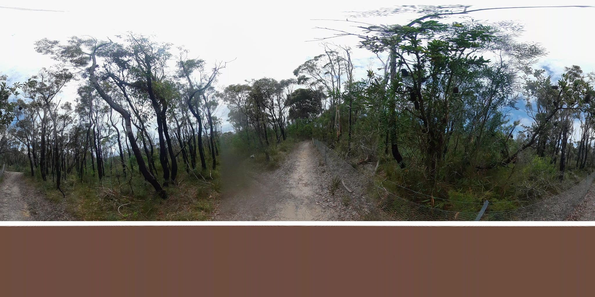 Street view near Meroo Beach Dispersed Camp Site, Burrill Lake — © Echidna (CC BY-SA · Mapillary)