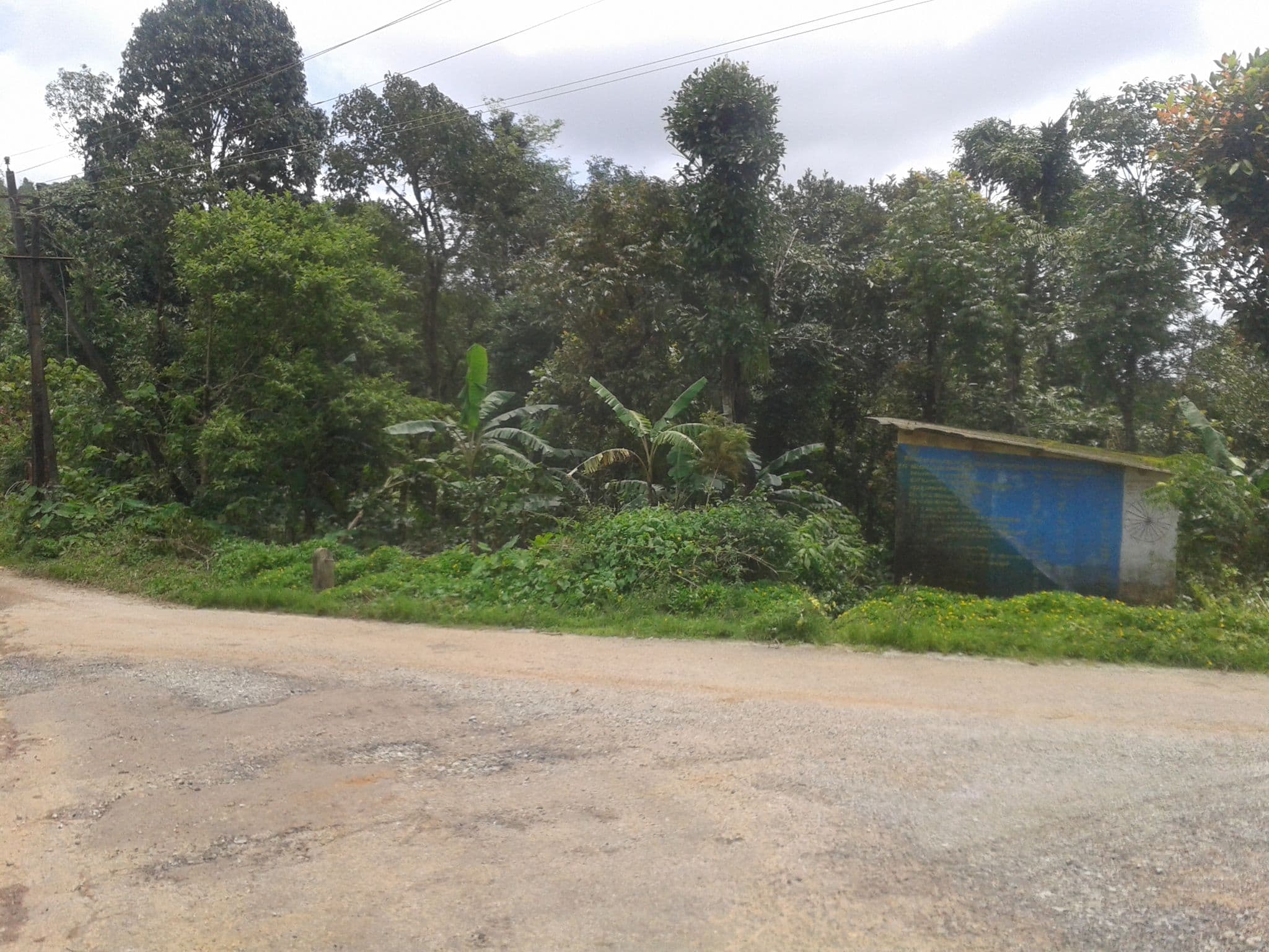 Street view near Mekanagadde Homestay, Mudgere — © srividya (CC BY-SA · Mapillary)