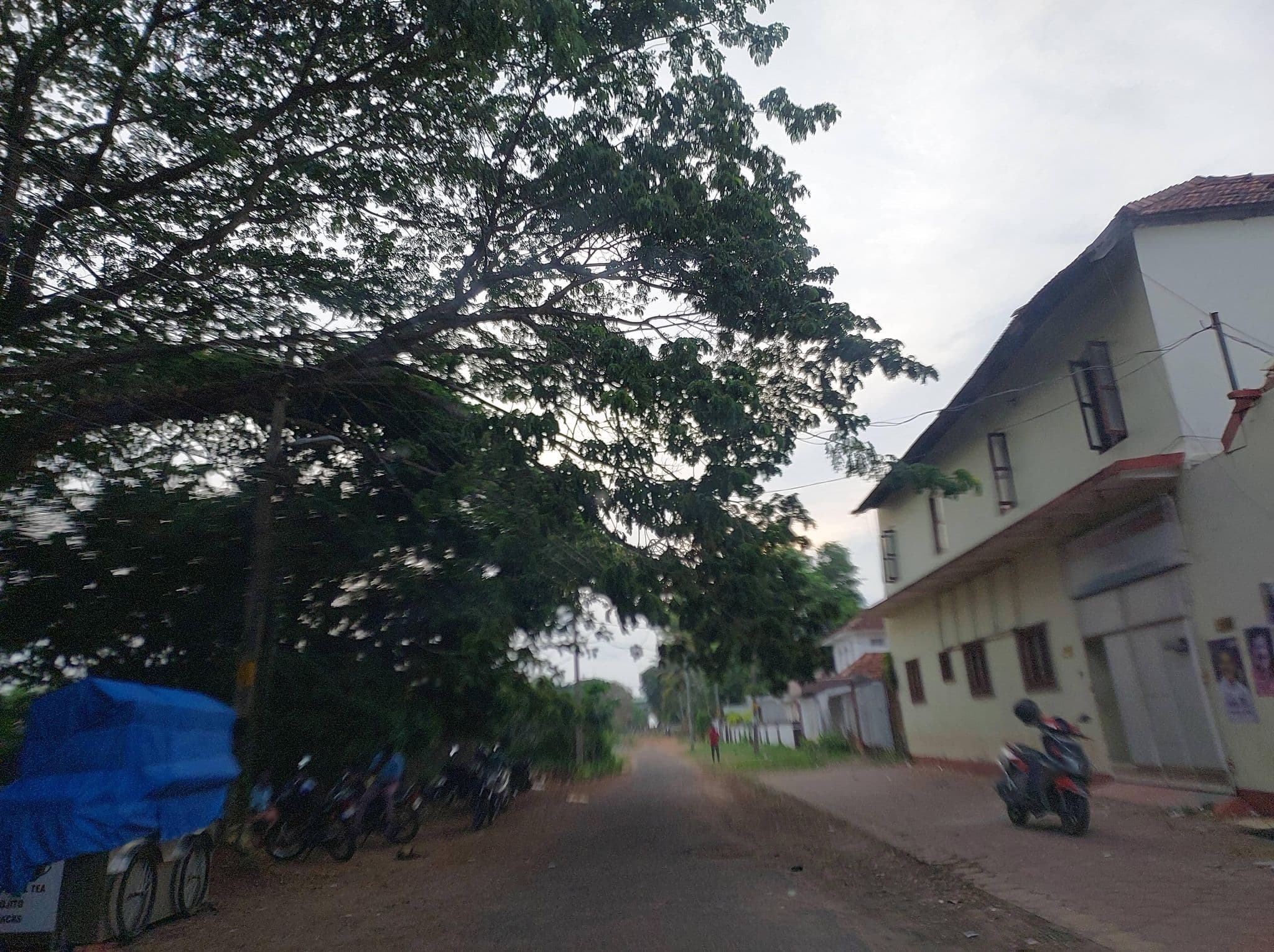 Street view near Working Women Hostel, Alappuzha — © V15 (CC BY-SA · Mapillary)