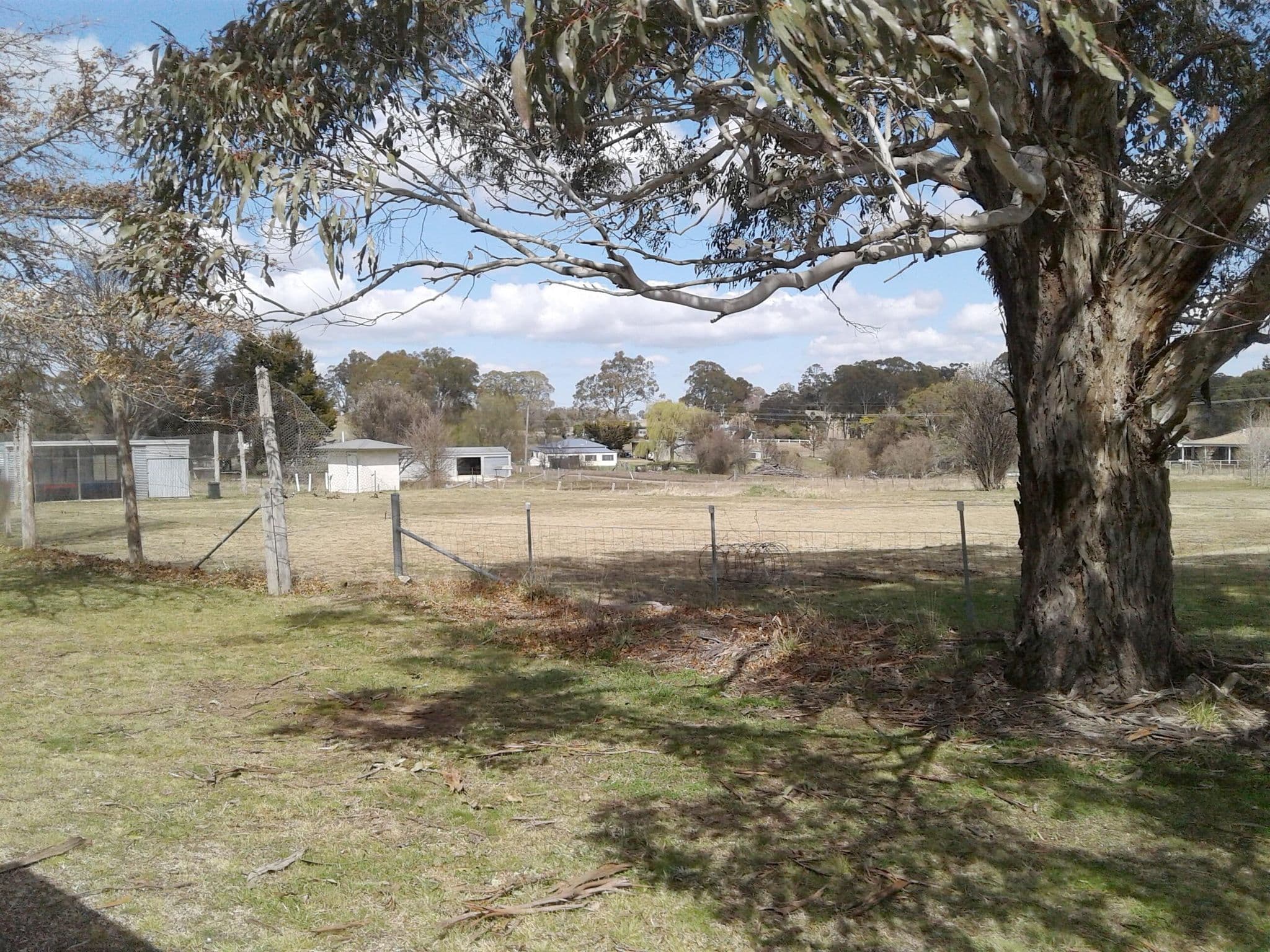 Street view near Ben Lomond Recreation Reserve, Guyra — © bob3bob3 (CC BY-SA · Mapillary)