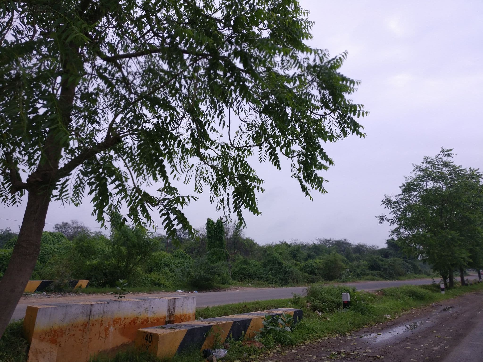 Street view near Hotel prestige, Chhatral INA — © abidandroid286 (CC BY-SA · Mapillary)