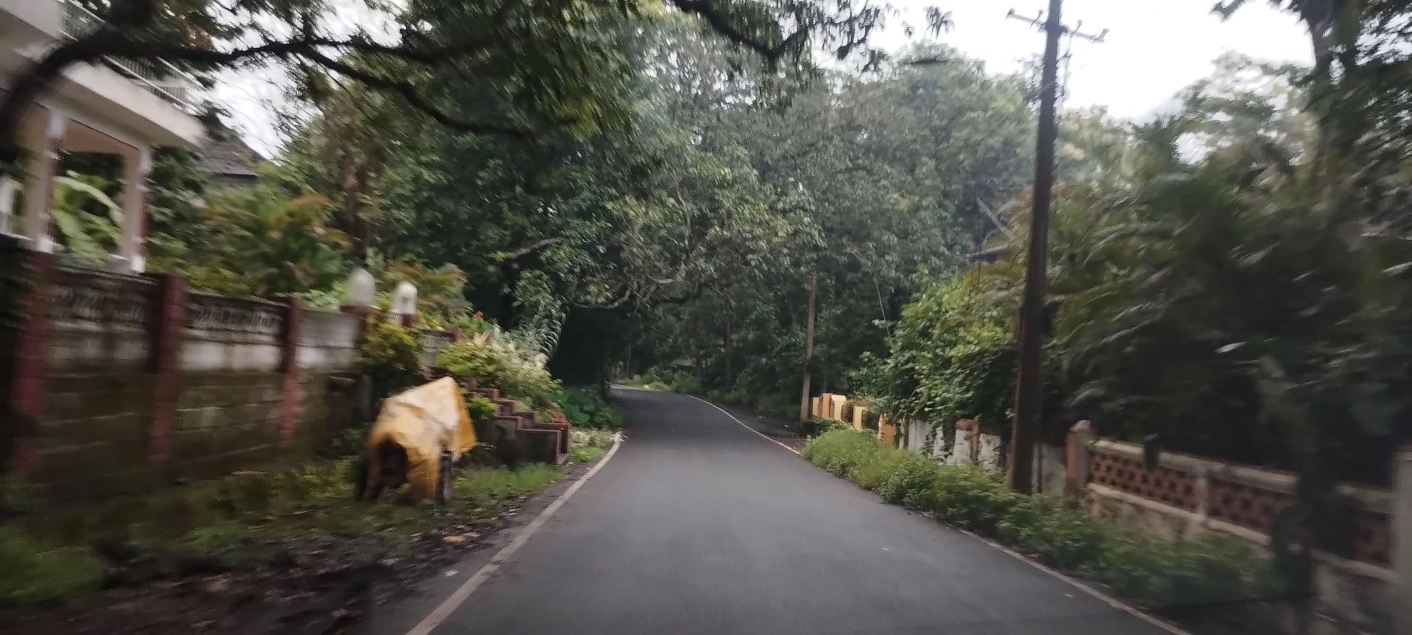 Street view near Divar Island Guest House Retreat, Chimbel — © olily (CC BY-SA · Mapillary)