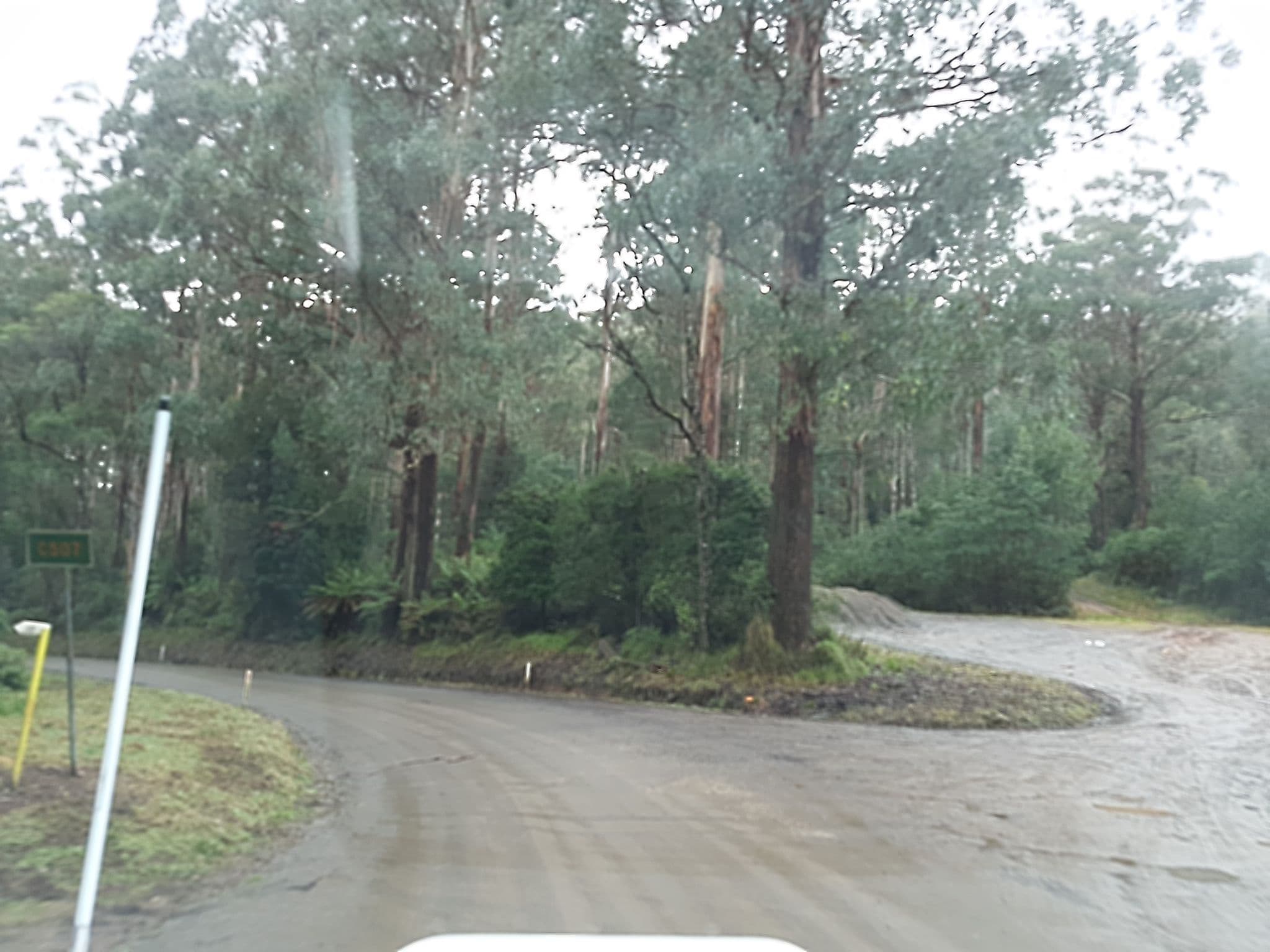 Street view near Dispersed Camping, Warburton — © stev391 (CC BY-SA · Mapillary)