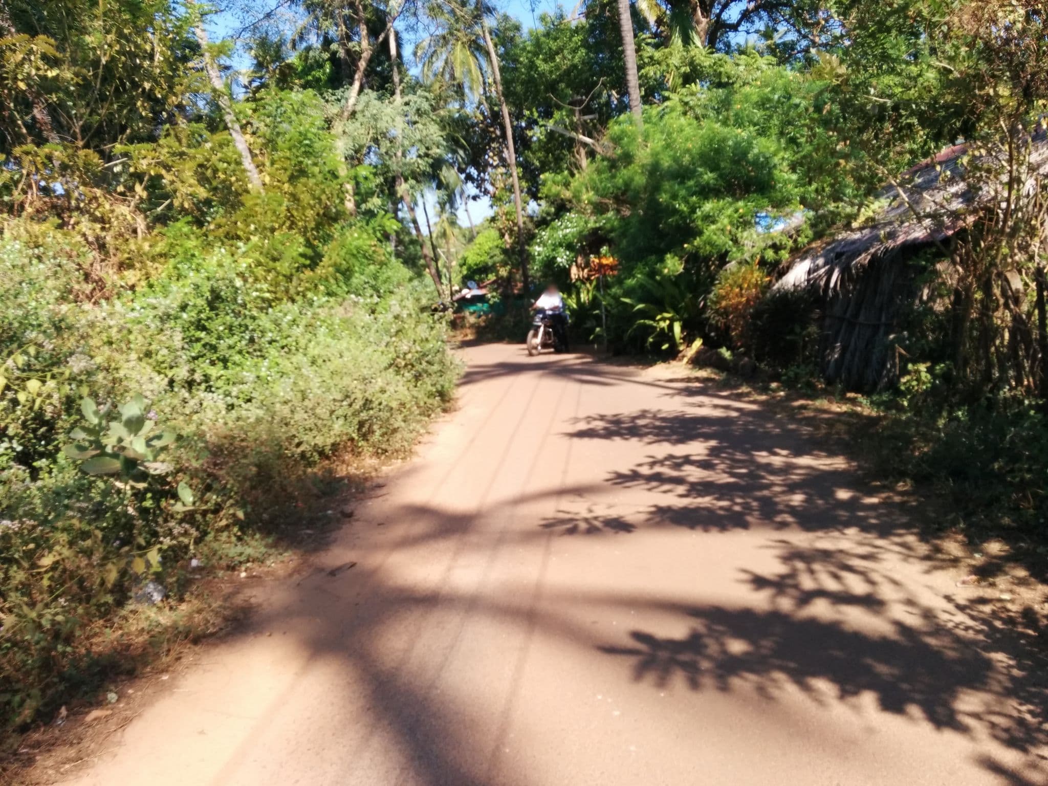 Street view near La La Land, Canacona — © sashazykov (CC BY-SA · Mapillary)