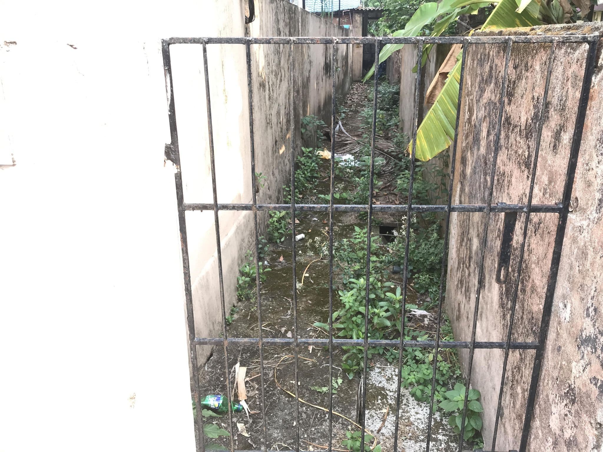 Street view near al maray, Mulavukad — © annet (CC BY-SA · Mapillary)