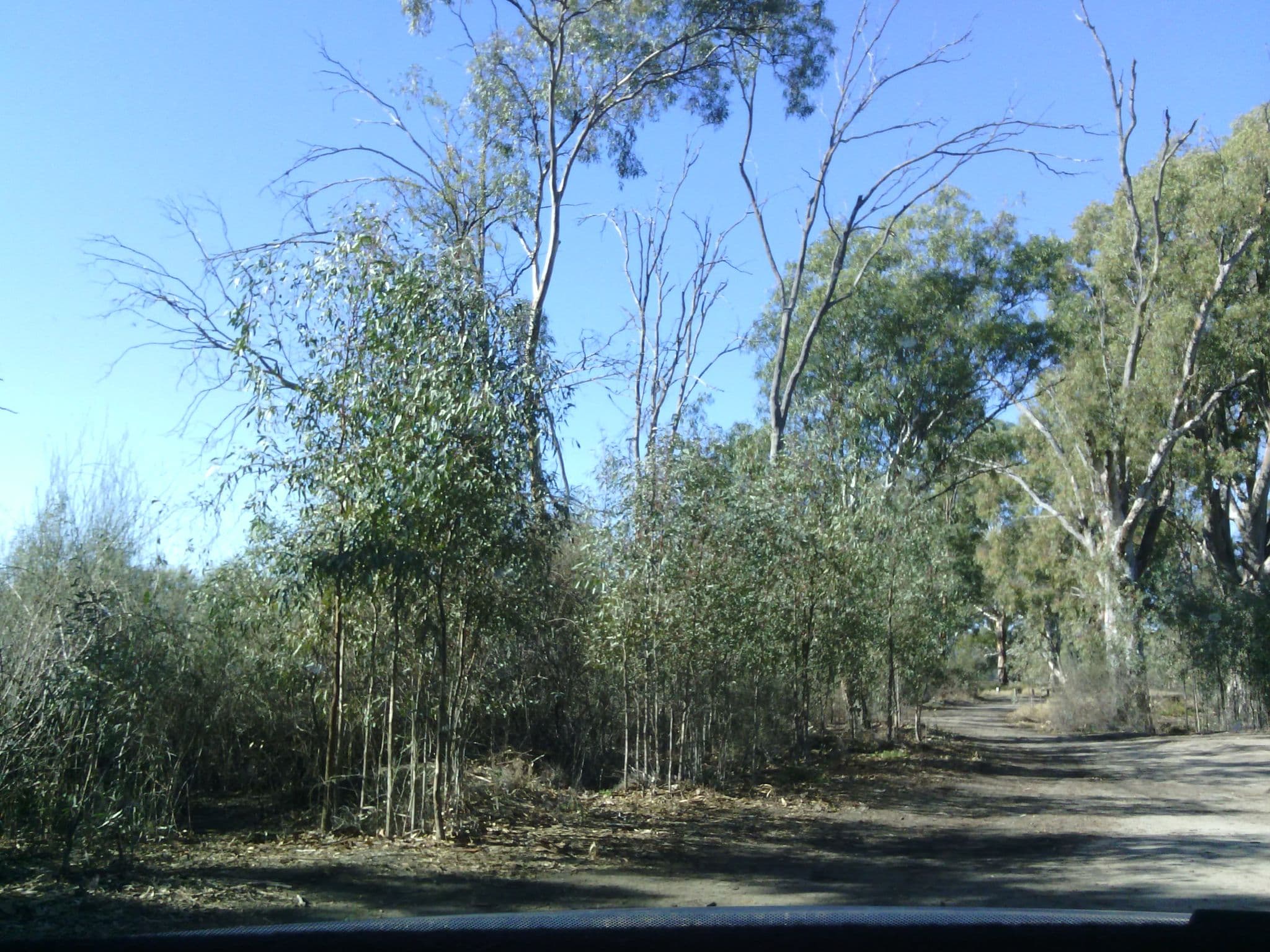 Street view near Campsite 10, Berri — © jrdixon (CC BY-SA · Mapillary)
