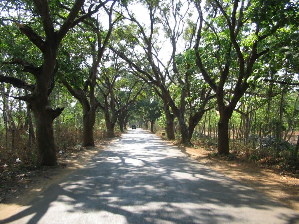 Street view near Vandana Lodge, Peringandūr — © jaseemsmart (CC BY-SA · Mapillary)