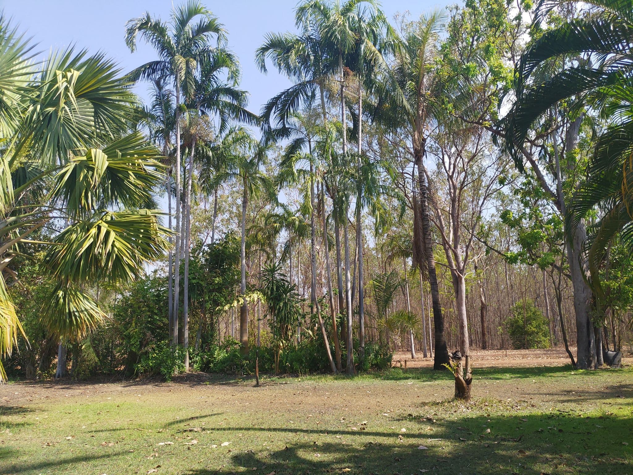 Street view near Fishers Rest, Humpty Doo — © janvanbekkum (CC BY-SA · Mapillary)