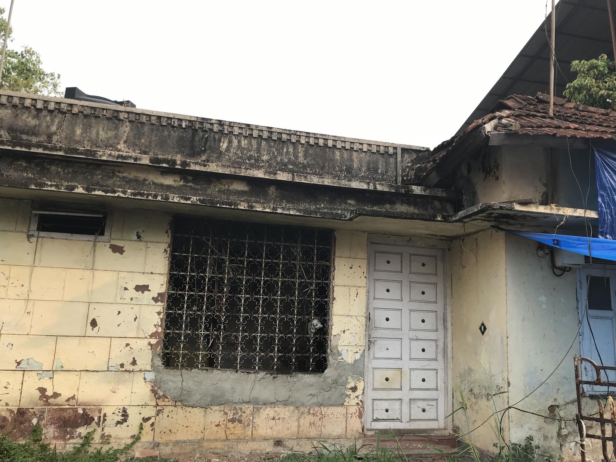Street view near Grand Hostel, Mulavukad — © annet (CC BY-SA · Mapillary)
