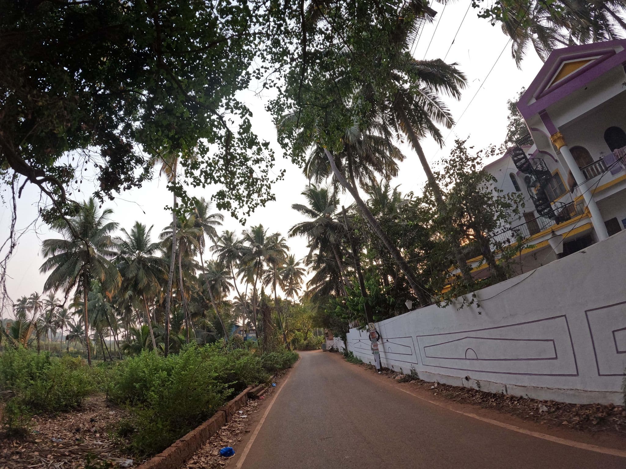 Street view near The Peace Hostel, Arambol — © lucomsky (CC BY-SA · Mapillary)