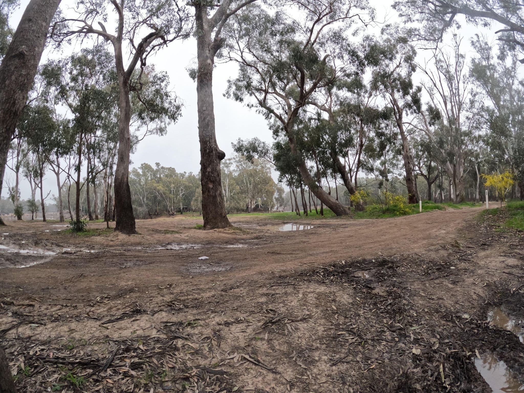 Street view near Simmie Road Camping Area 1, Moama — © skillsy (CC BY-SA · Mapillary)