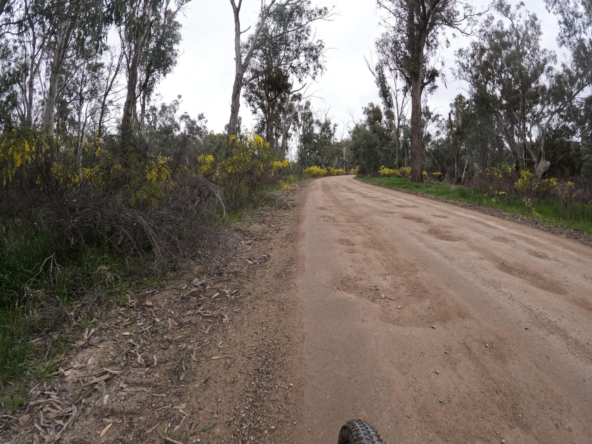 Street view near Stewarts Bridge Camping Area 1, Moama — © skillsy (CC BY-SA · Mapillary)