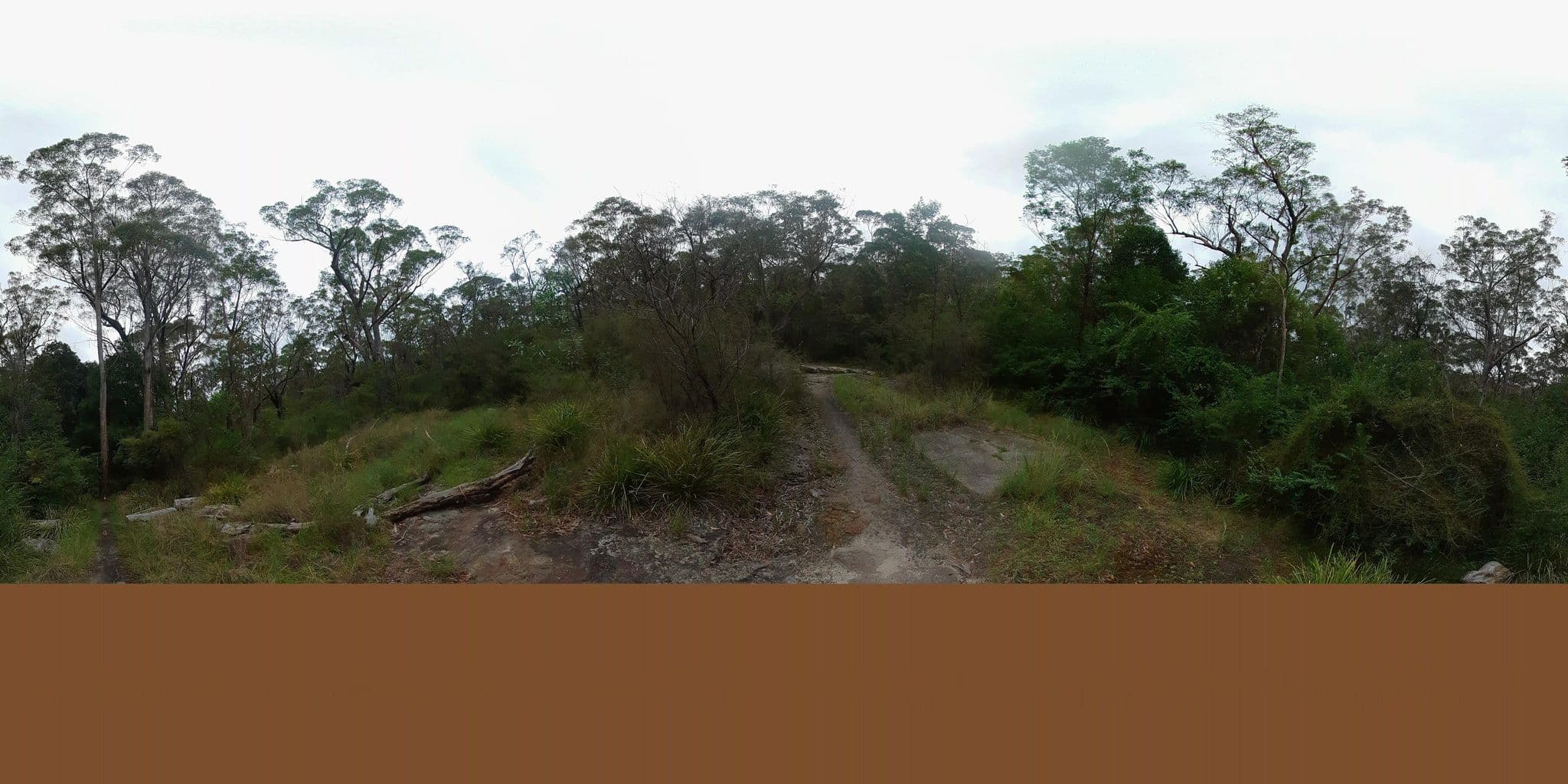 Street view near The Jungo, Cherrybrook — © Possum (CC BY-SA · Mapillary)