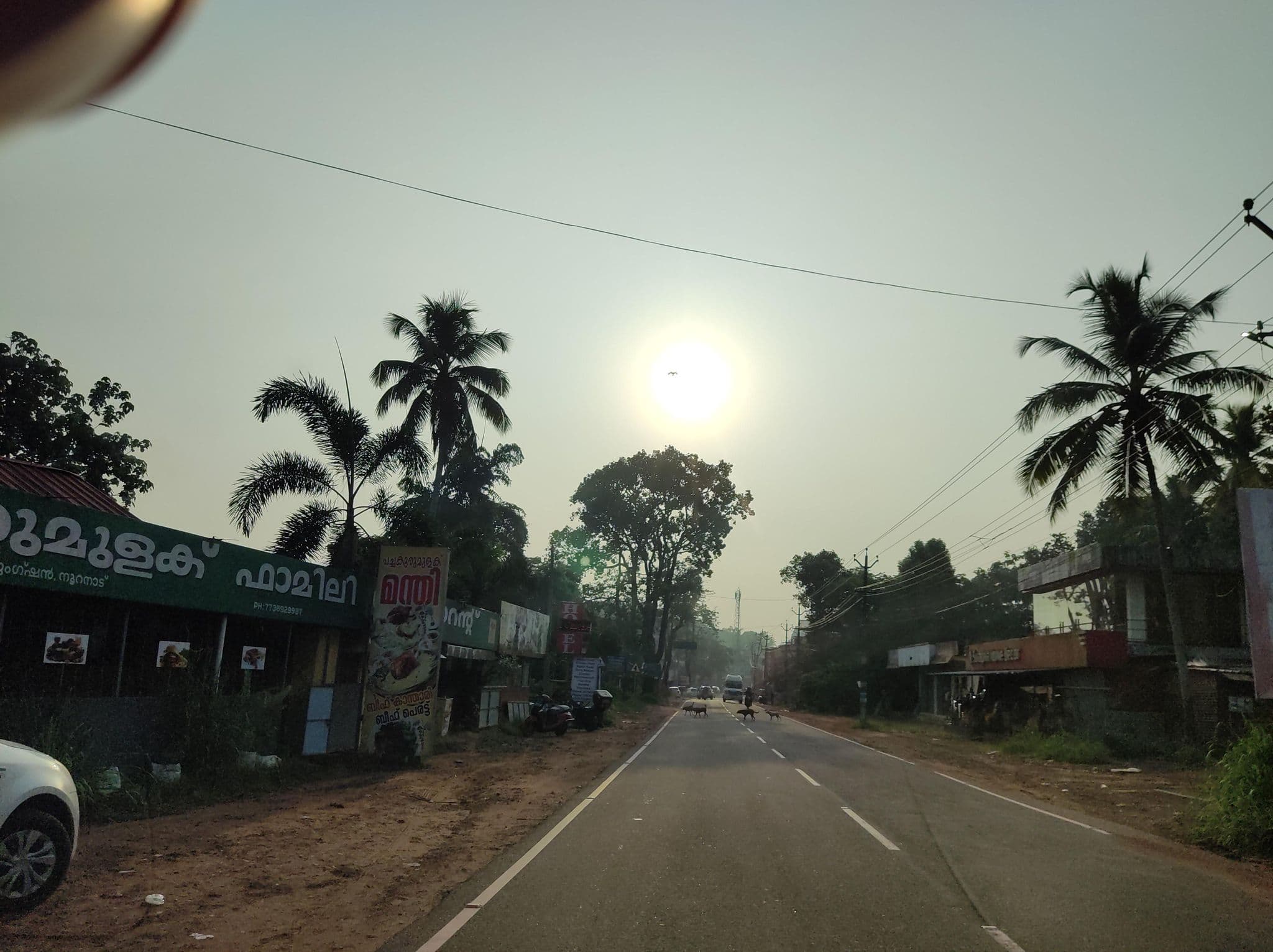 Street view near hotel palazhi, Kattanam — © V15 (CC BY-SA · Mapillary)