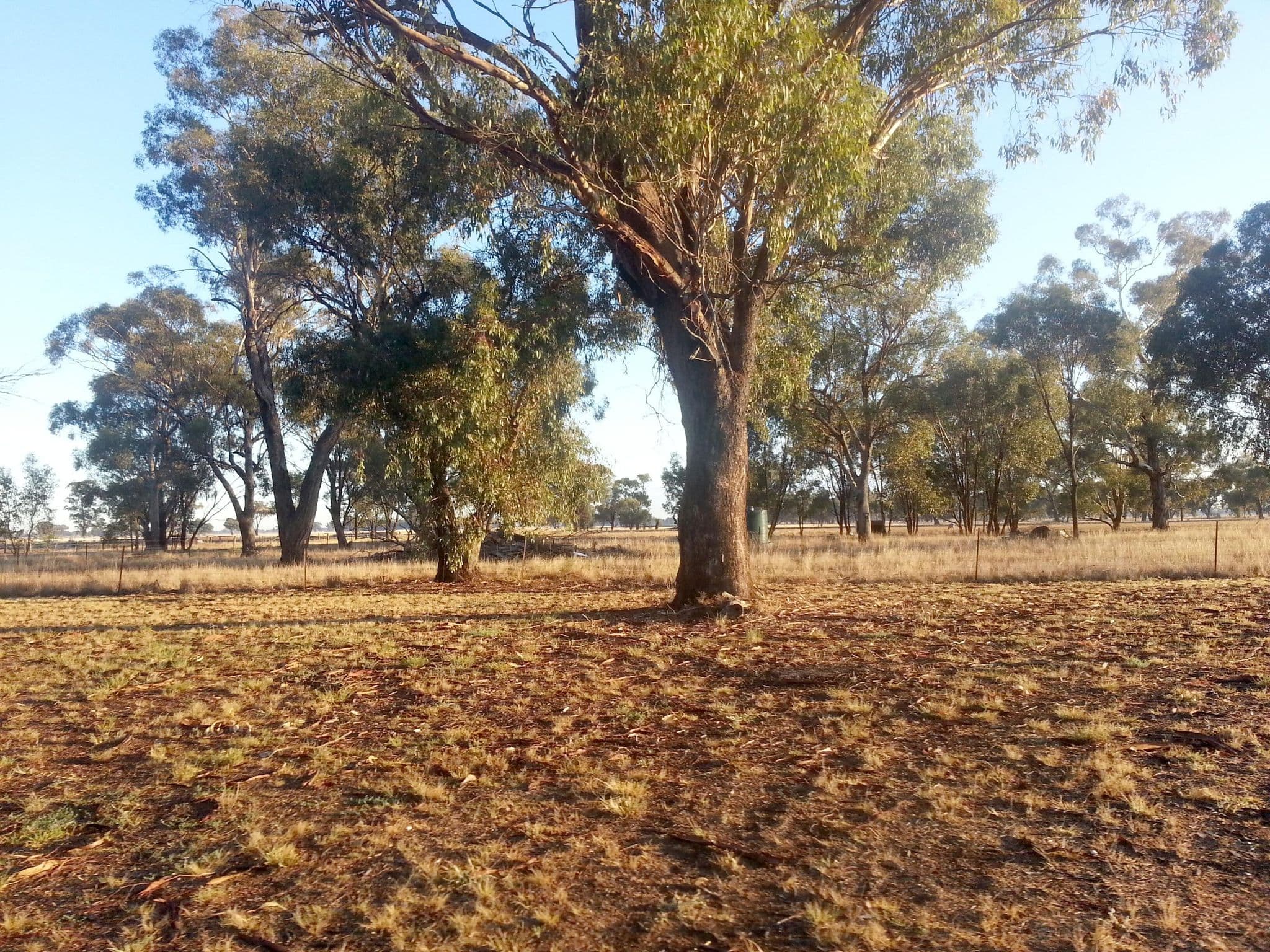 Street view near Daysdale Recreation Reserve, Corowa — © bob3bob3 (CC BY-SA · Mapillary)