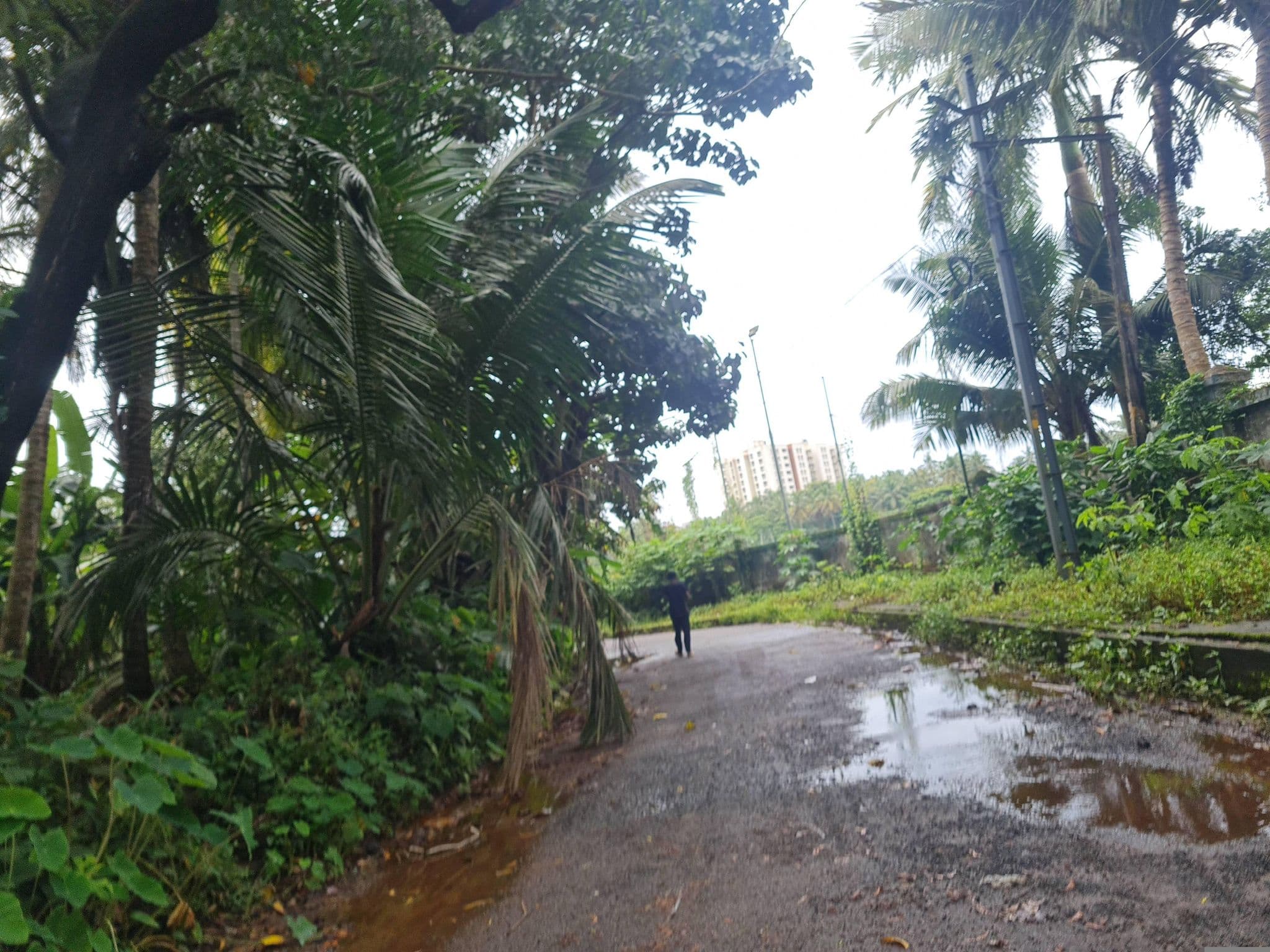 Street view near Stadium Rest romm, Tellicherry — © dinshkm (CC BY-SA · Mapillary)
