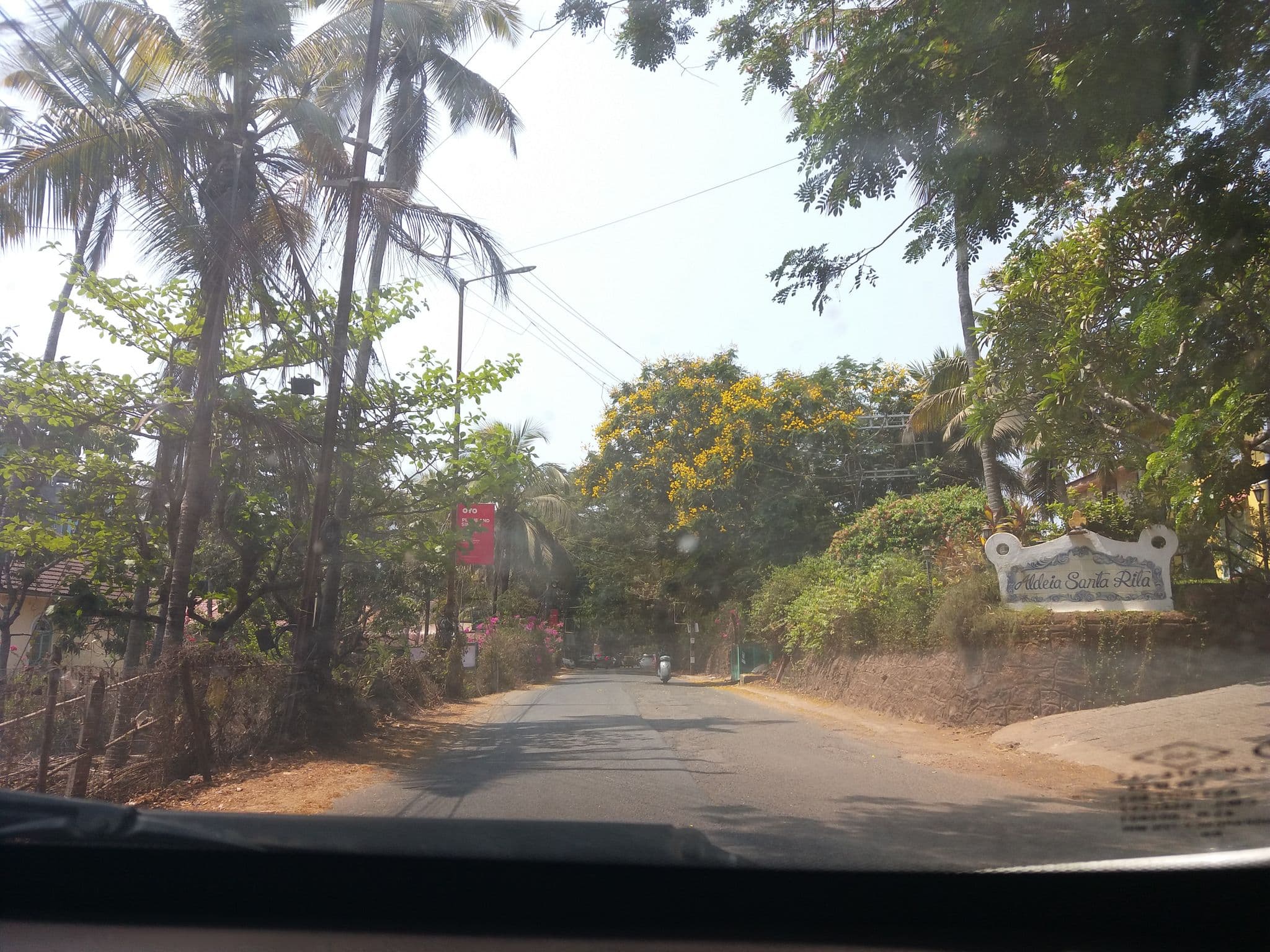 Street view near Ludovici Tourist Home, Nerul — © rdlf19051985 (CC BY-SA · Mapillary)