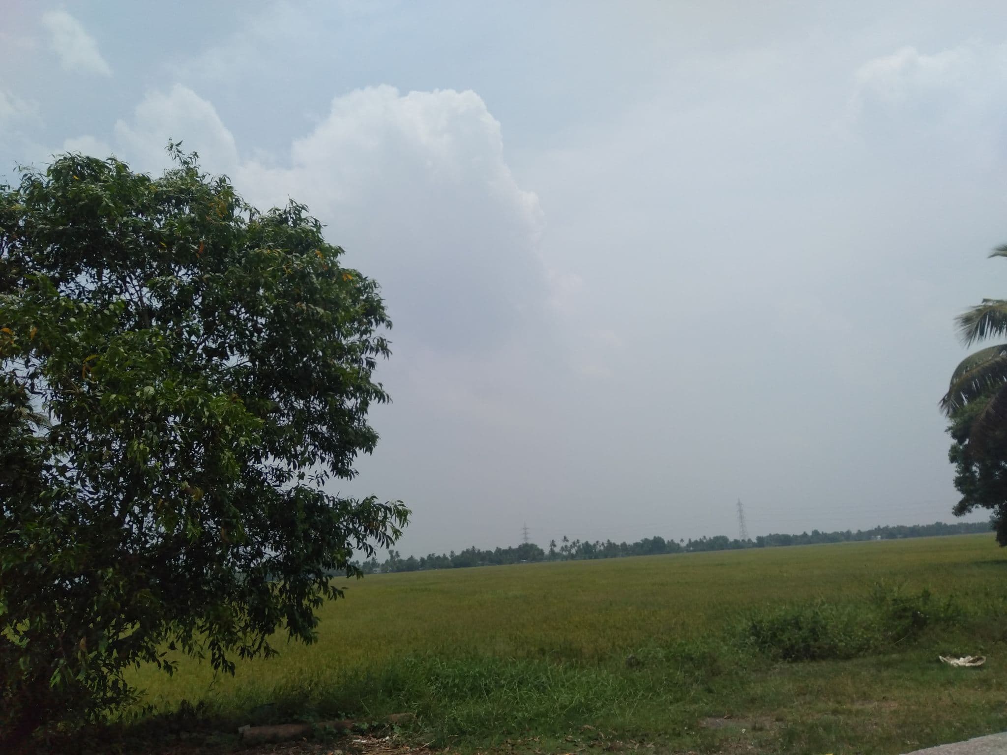 Street view near joi villa, Kunnumma — © amrutha07 (CC BY-SA · Mapillary)