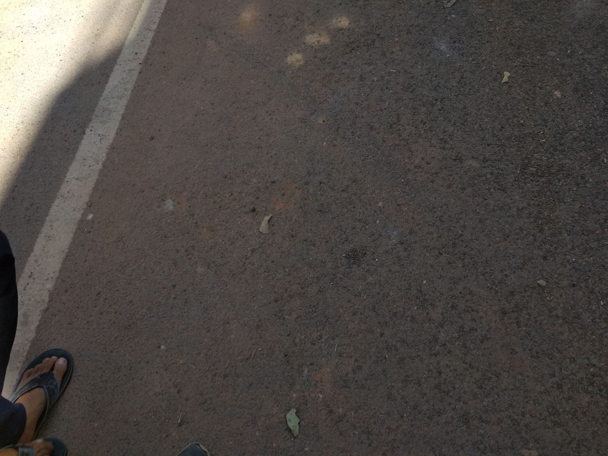 Street view near #28, Yelahanka — © dilawar (CC BY-SA · Mapillary)