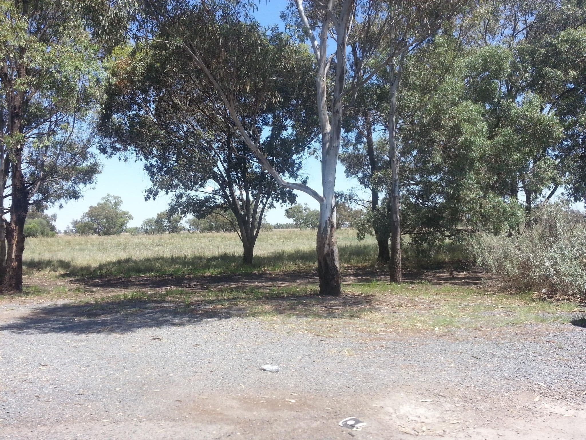 Street view near Marsden Rest Area - Northbound, West Wyalong — © bob3bob3 (CC BY-SA · Mapillary)